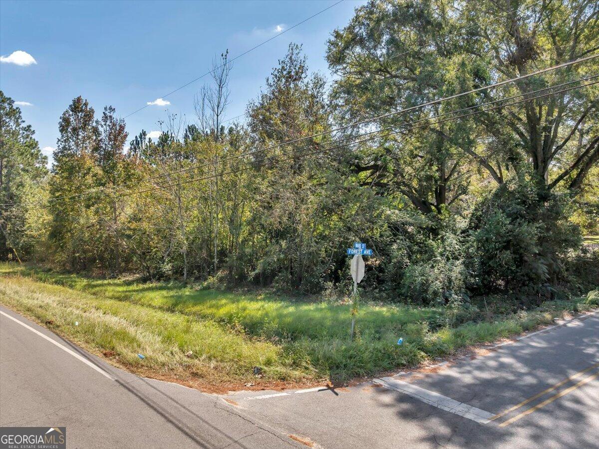 0 Forest Avenue Property Photo 23