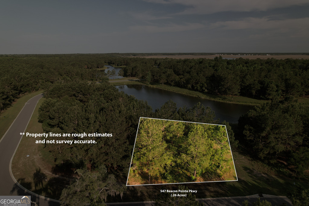 Lot 547 Beacon Pointe Parkway Property Photo 2