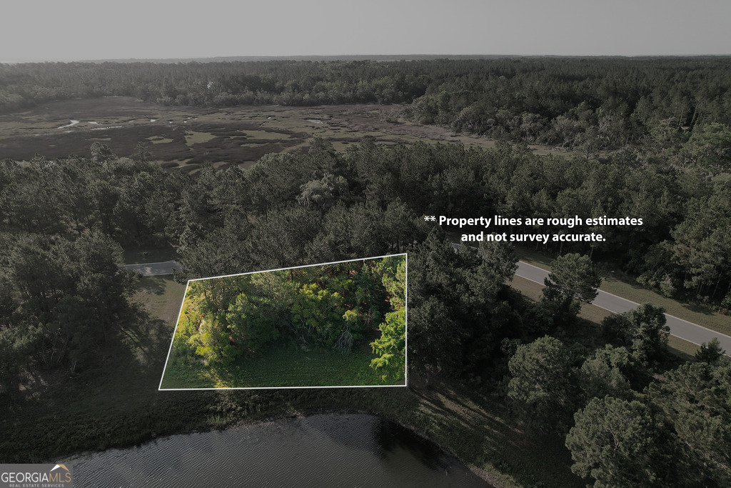 Lot 547 Beacon Pointe Parkway Property Photo 4