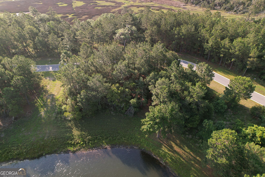 Lot 547 Beacon Pointe Parkway Property Photo 6