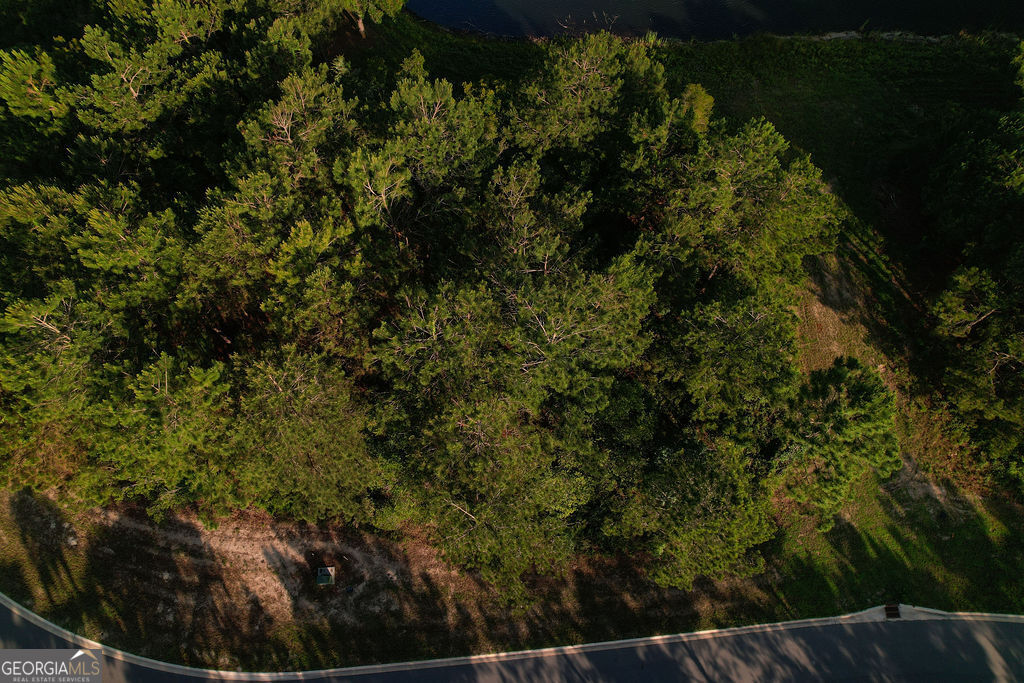 Lot 547 Beacon Pointe Parkway Property Photo 7