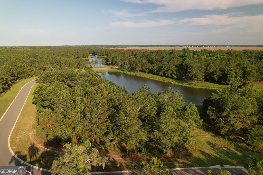 Lot 547 Beacon Pointe Parkway Property Photo 9