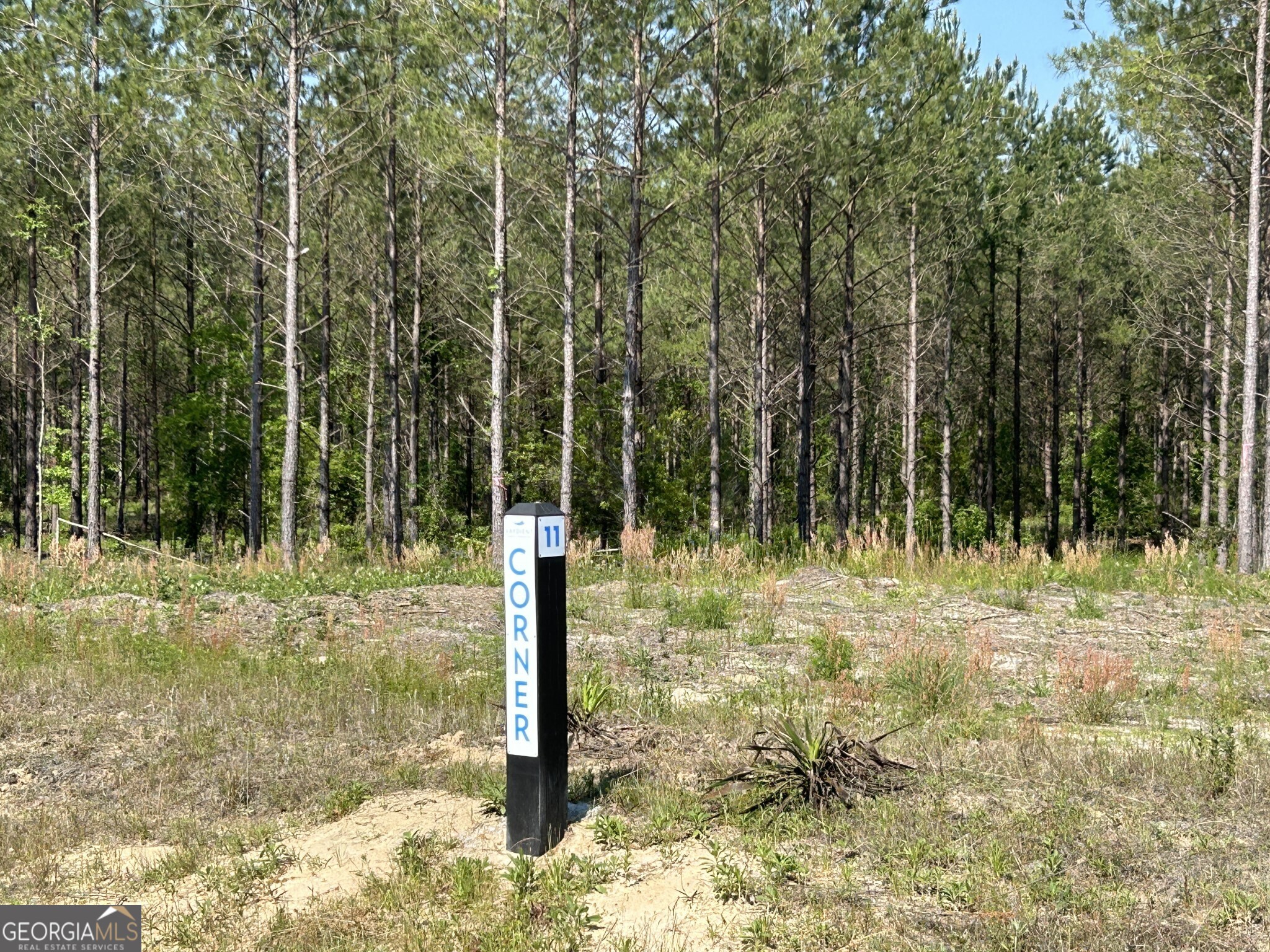 0 Dewey Thomas Road Lot 11 Property Photo 6