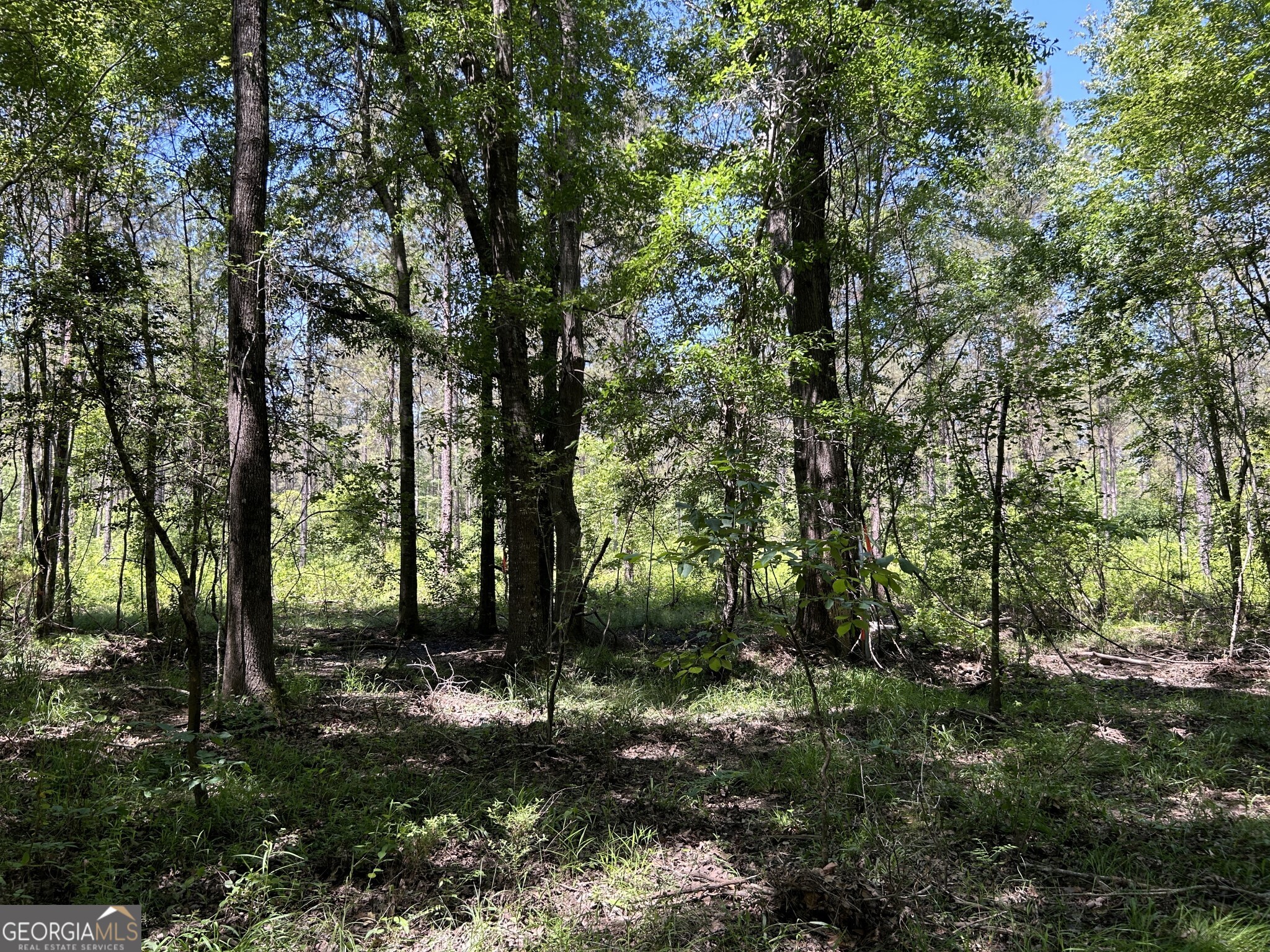 0 Dewey Thomas Road Lot 11 Property Photo 7