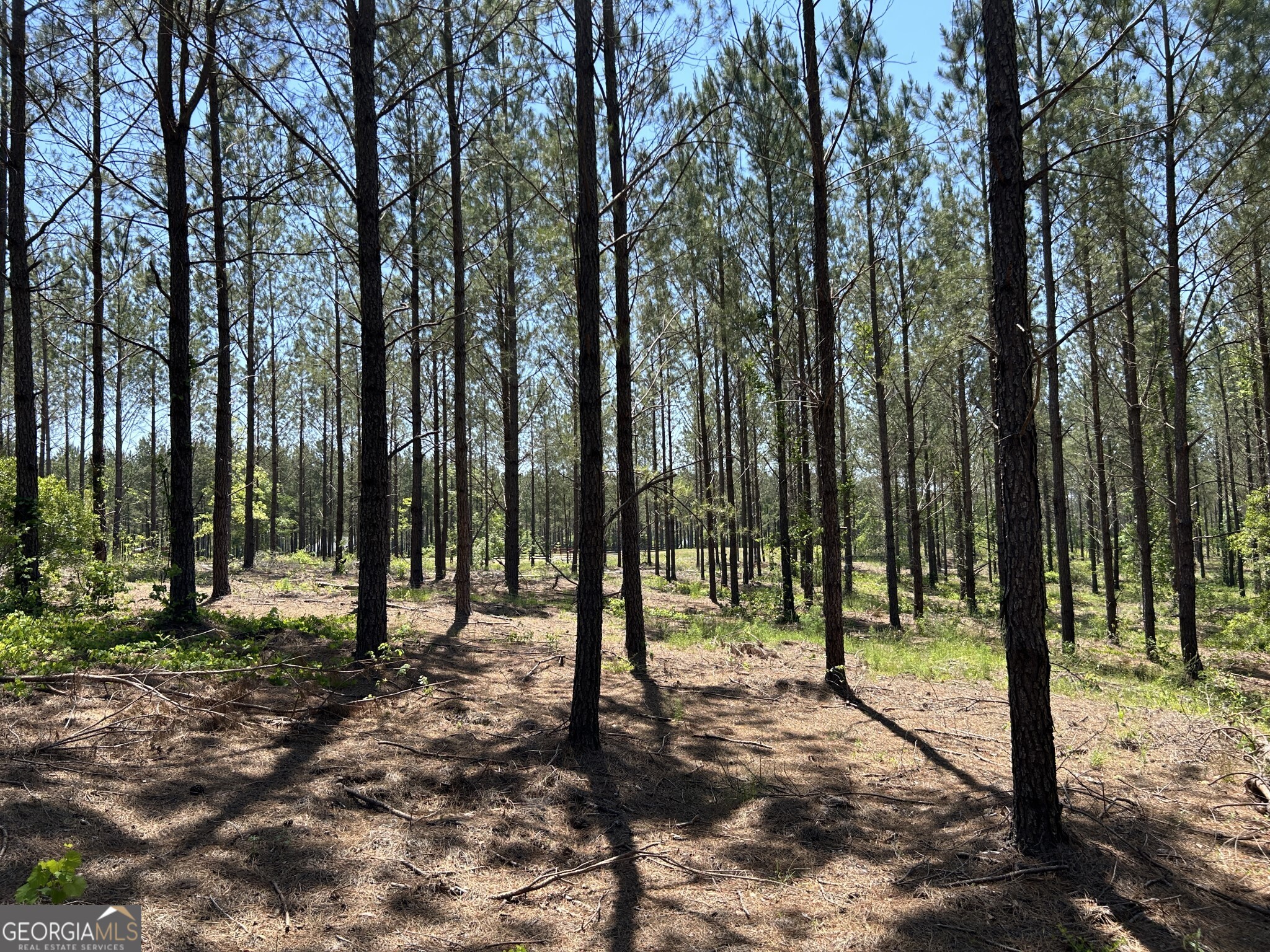 0 Dewey Thomas Road Lot 11 Property Photo 8
