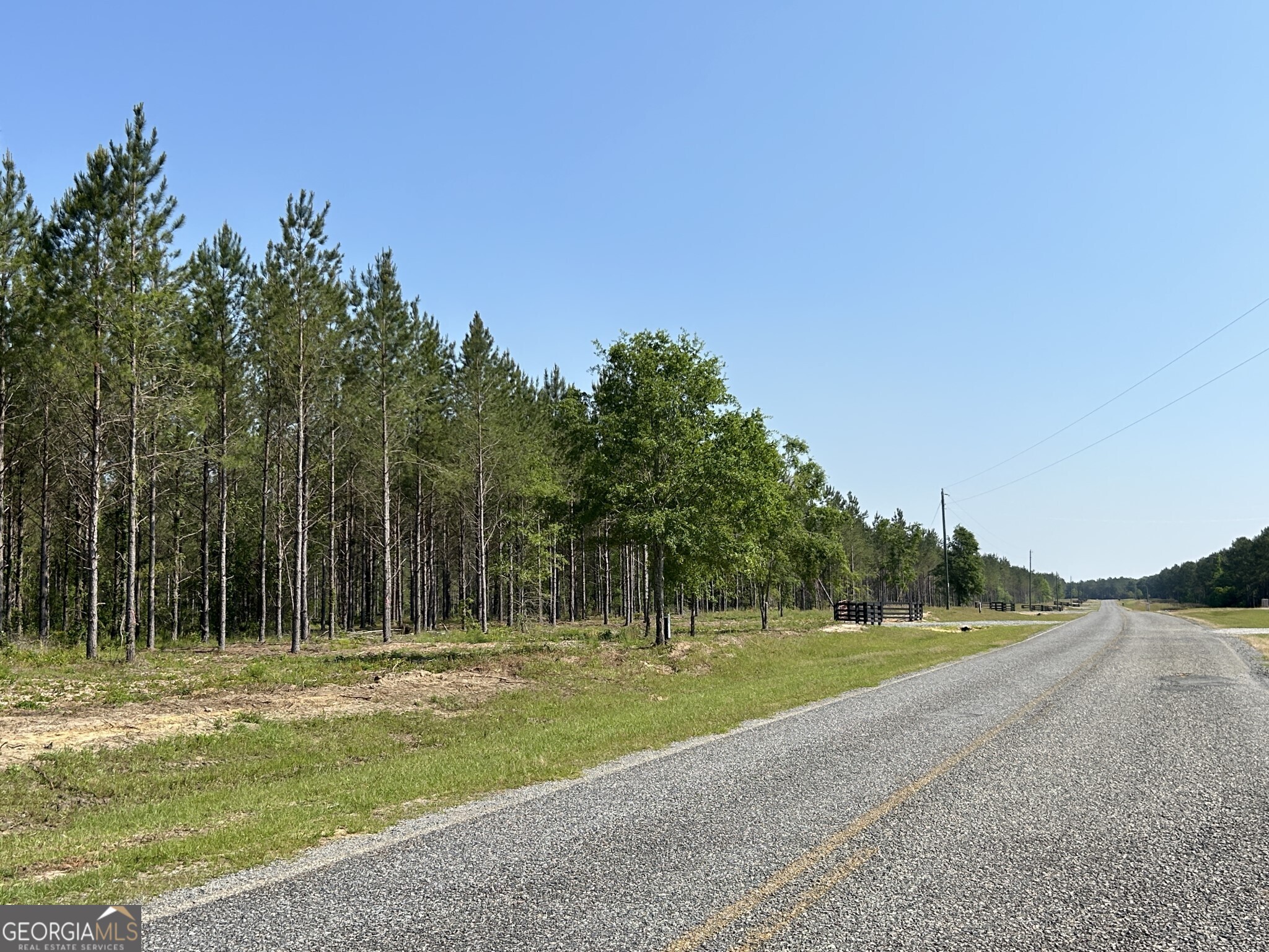 0 Dewey Thomas Road Lot 2 Property Photo 2