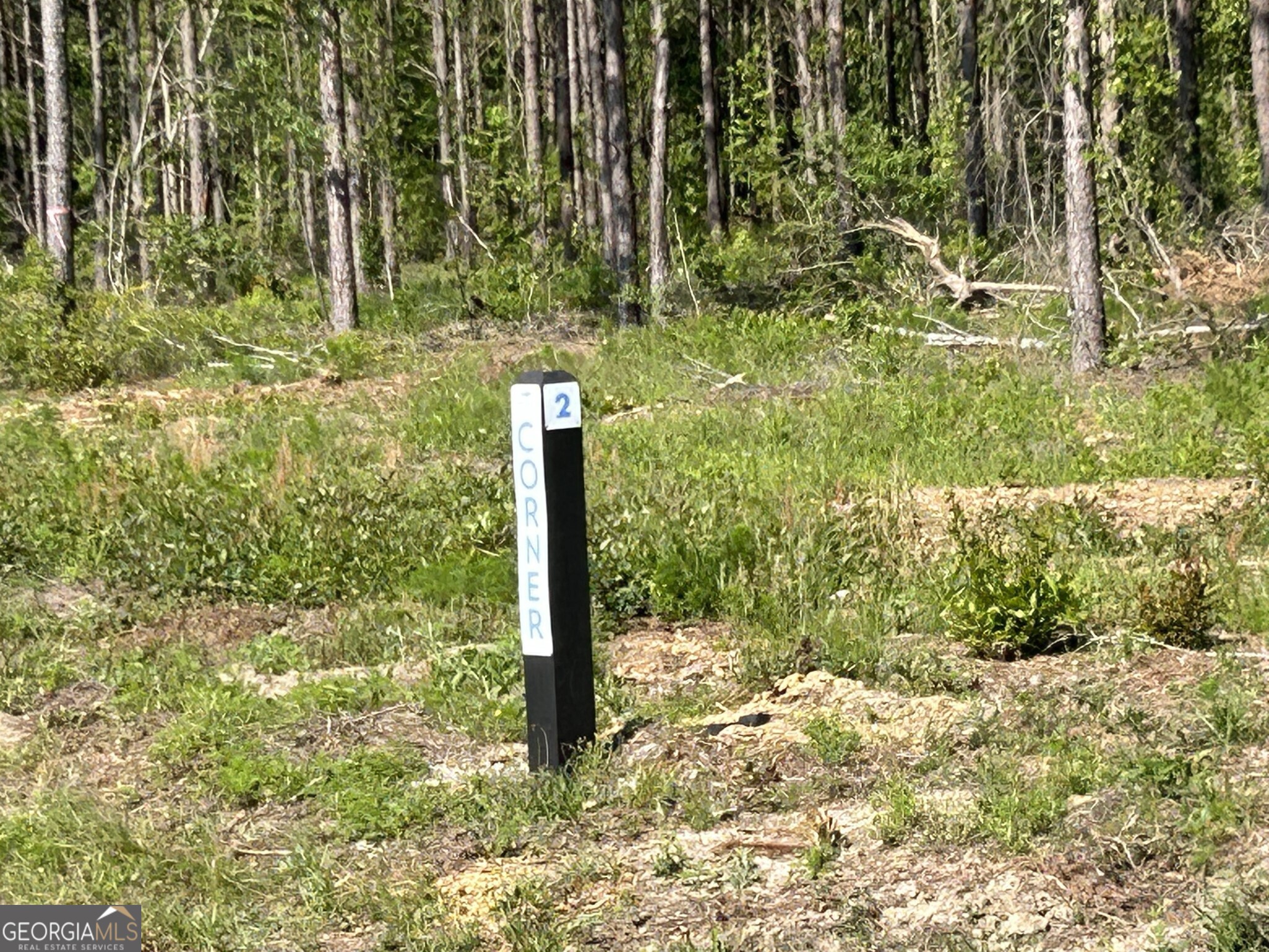 0 Dewey Thomas Road Lot 2 Property Photo 5