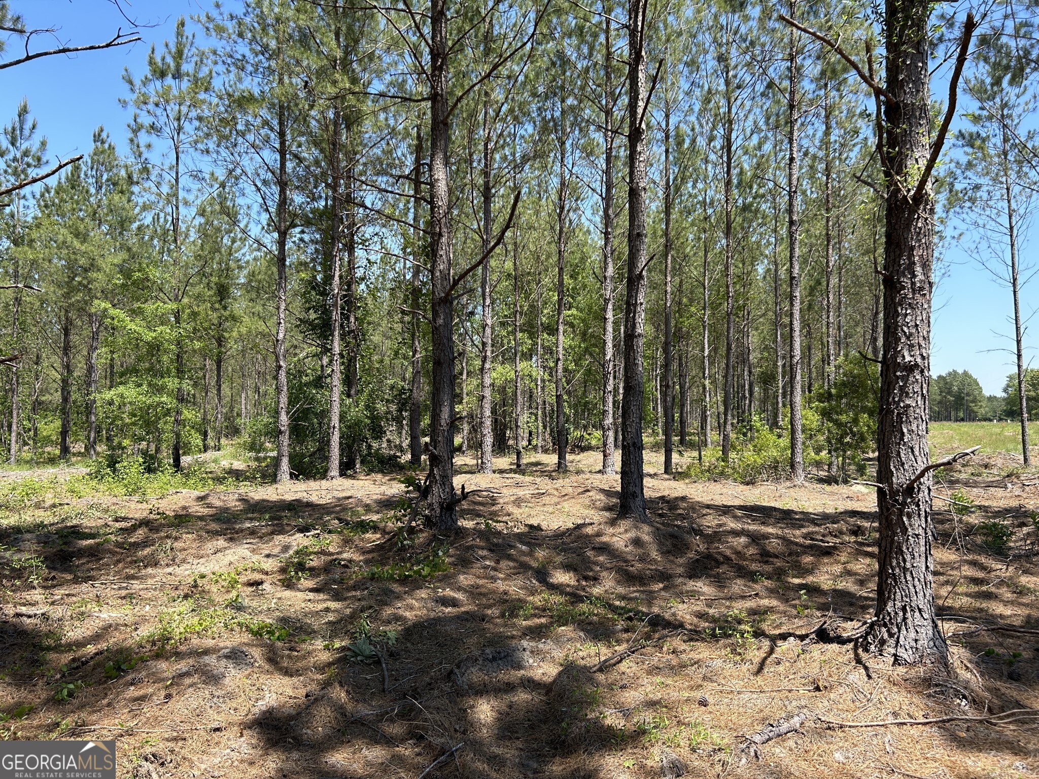 0 Dewey Thomas Road Lot 2 Property Photo 6
