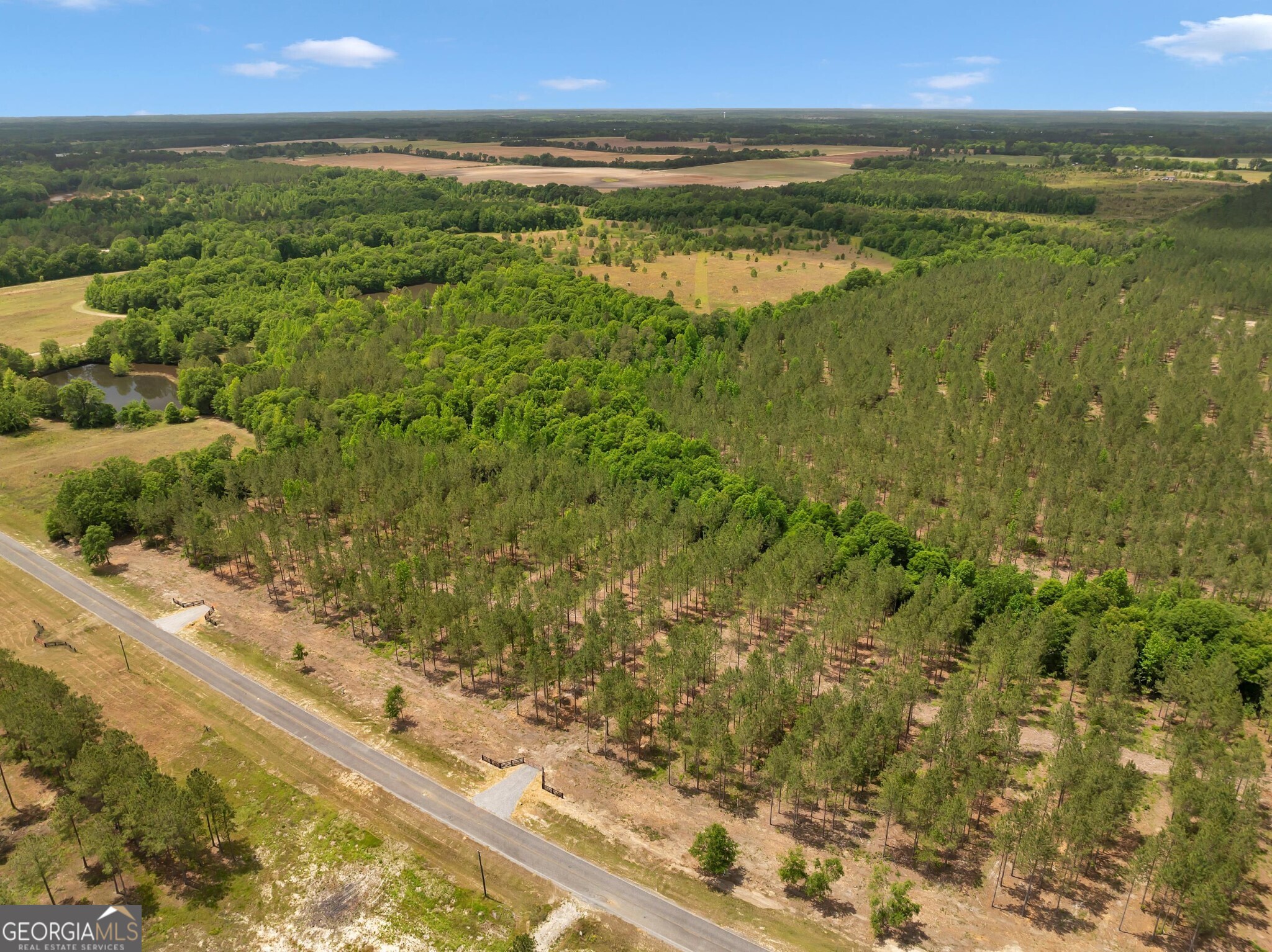 0 Dewey Thomas Road Lot 2 Property Photo 8
