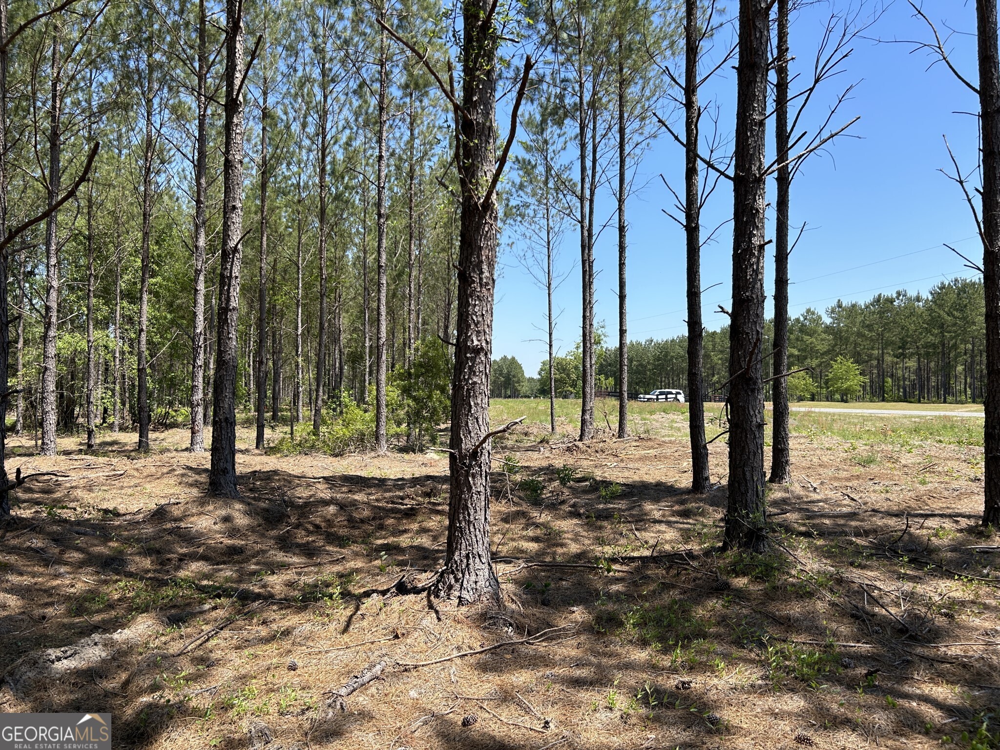 0 Dewey Thomas Road Lot 4 Property Photo 7