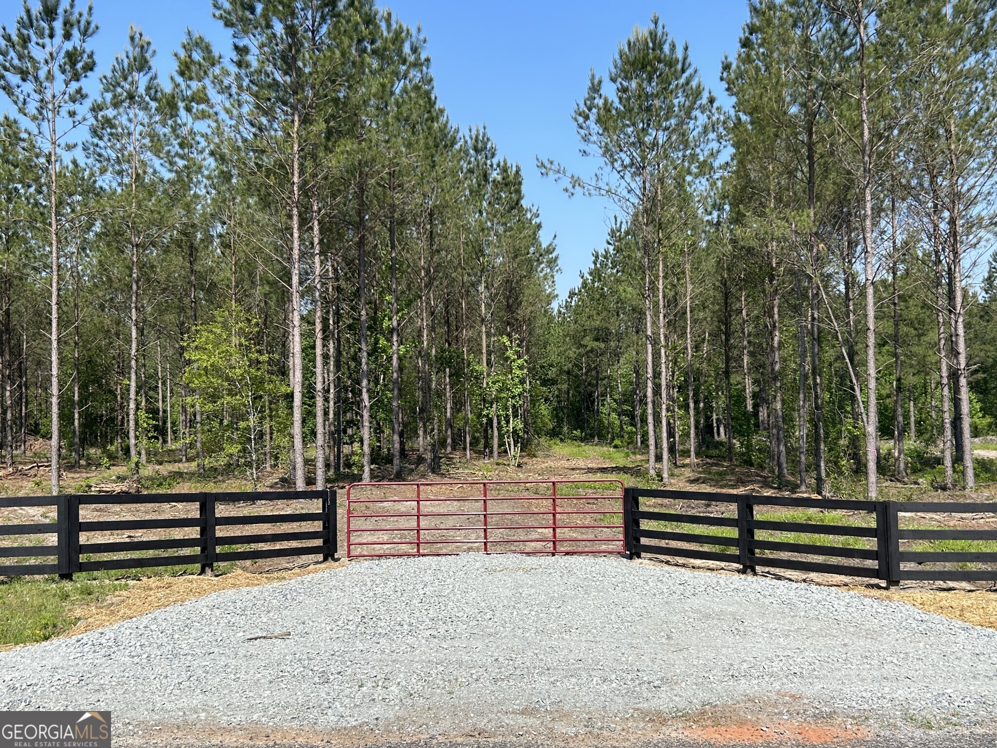 0 Dewey Thomas Road LOT 14 Property Photo 1