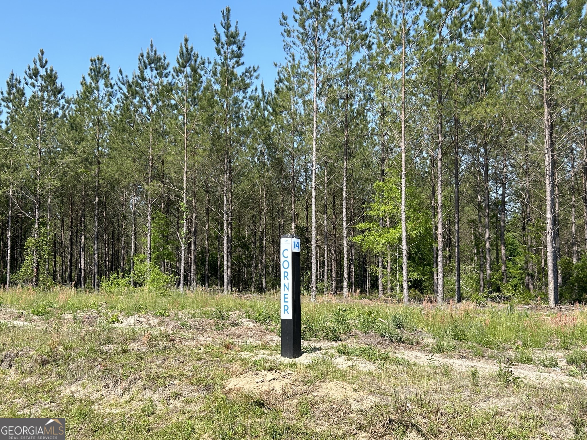0 Dewey Thomas Road Lot 14 Property Photo 3