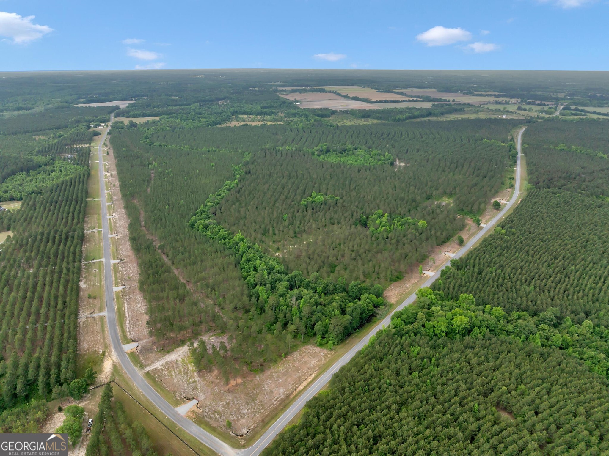 0 Dewey Thomas Road Lot 14 Property Photo 4