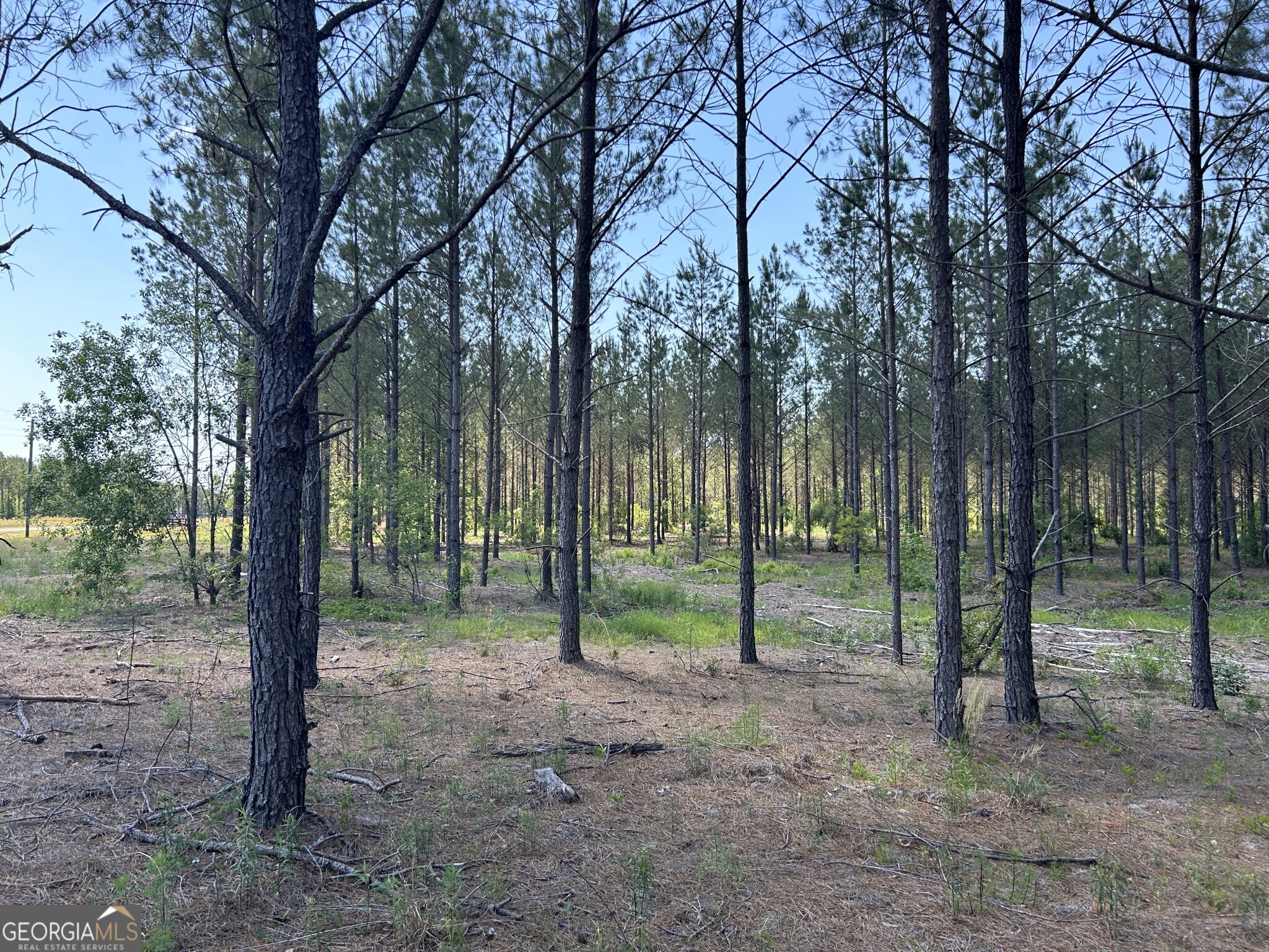 0 Dewey Thomas Road Lot 14 Property Photo 7