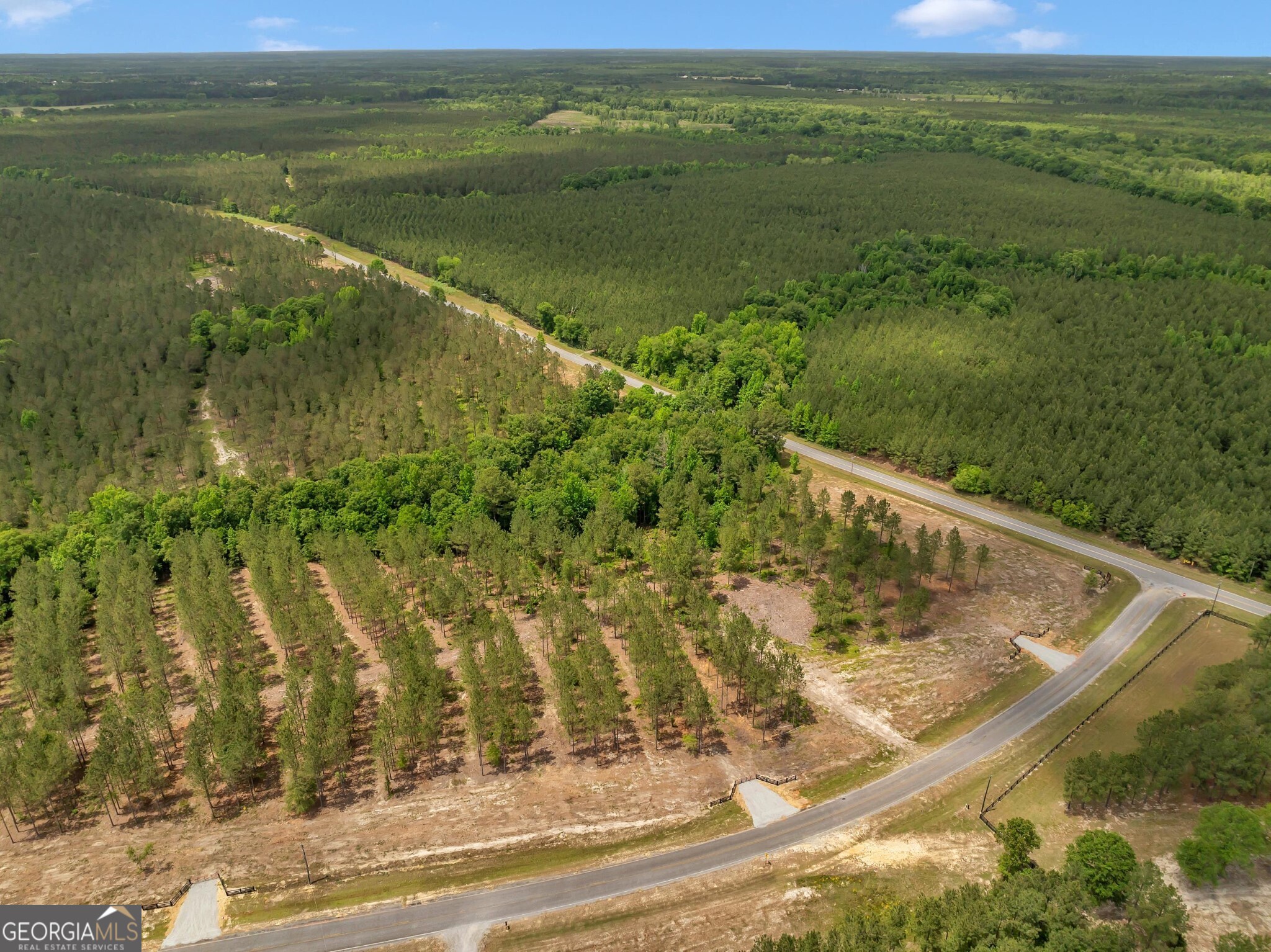 0 Dewey Thomas Road Lot 14 Property Photo 9