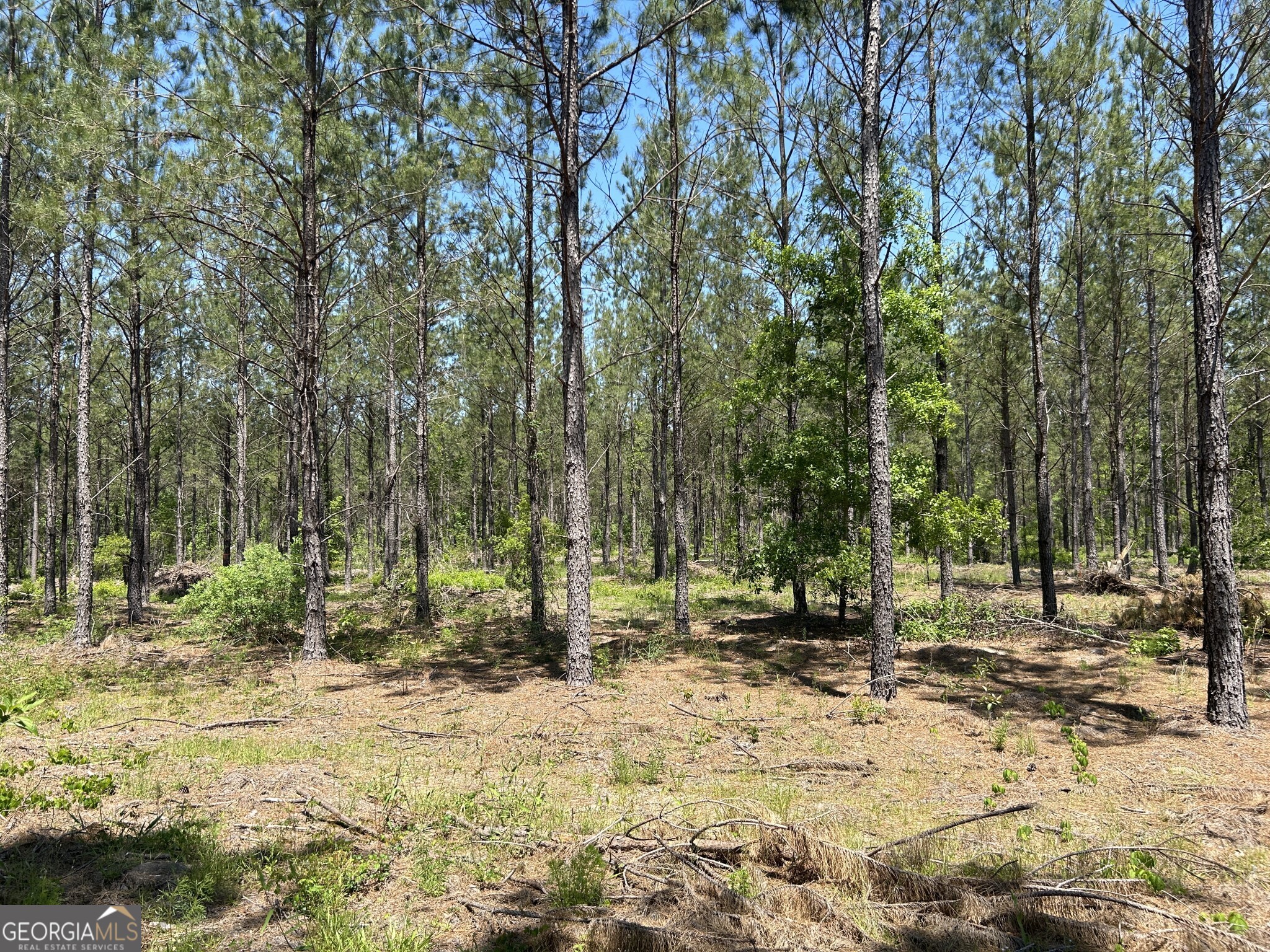 0 Dewey Thomas Road Lot 14 Property Photo 10