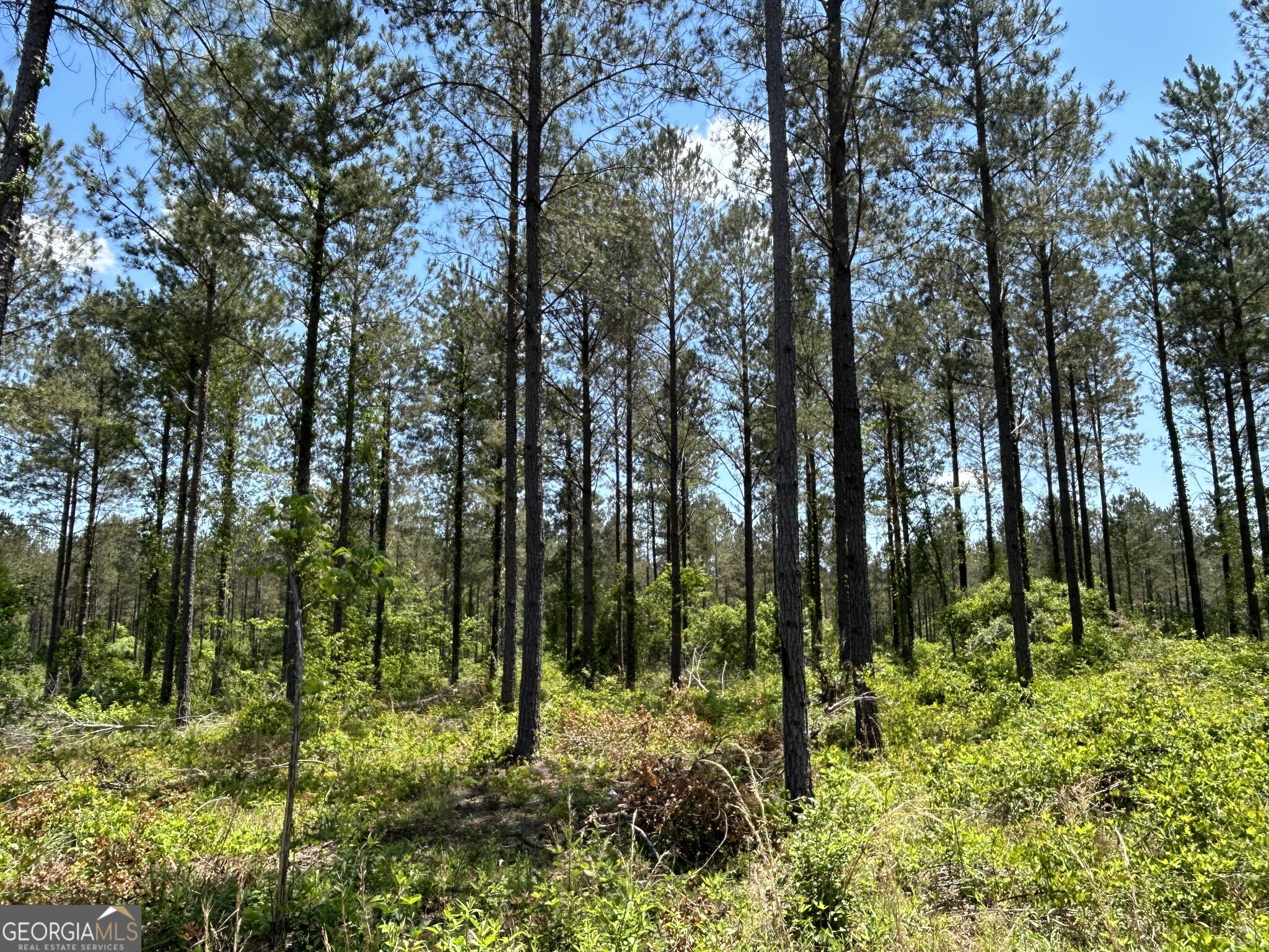 0 Springhaven Road Lot 19 Property Photo 2