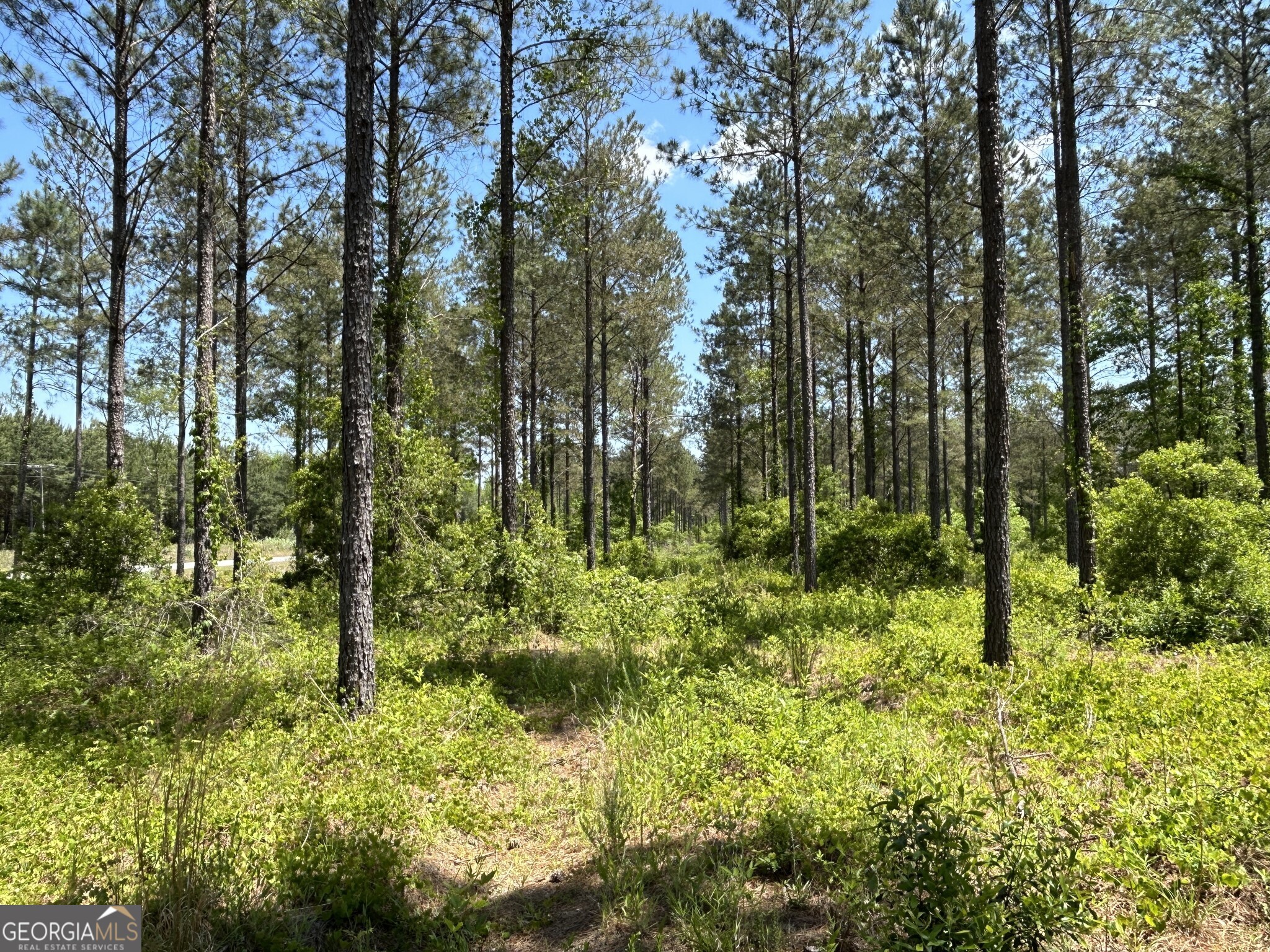 0 Springhaven Road Lot 19 Property Photo 7
