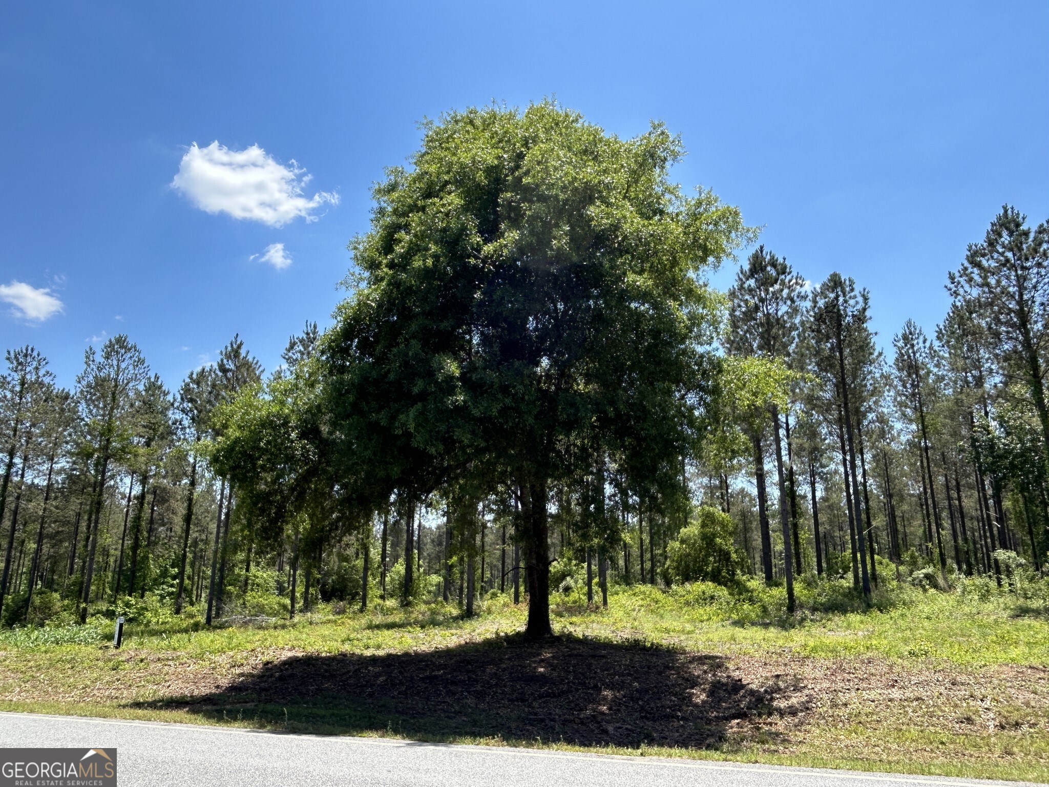 0 Springhaven Road Lot 19 Property Photo 9