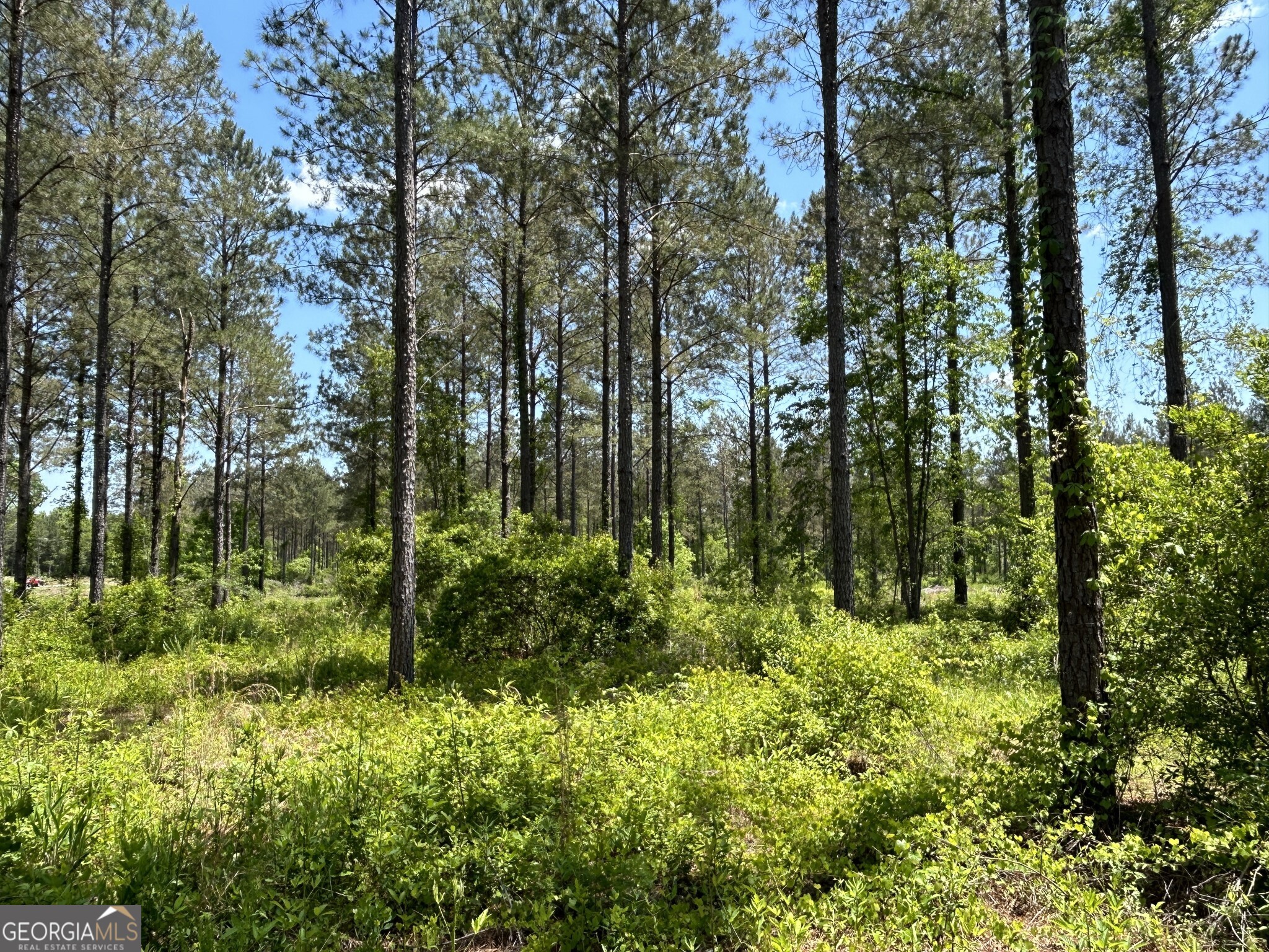 0 Springhaven Road Lot 19 Property Photo 12