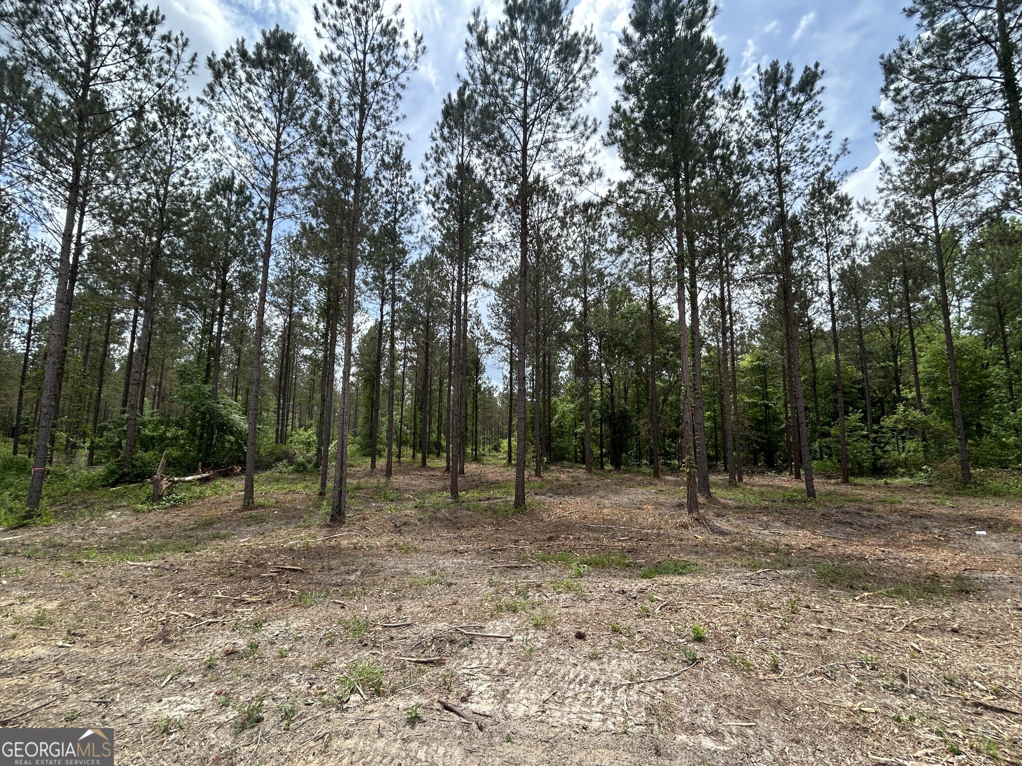 0 Springhaven Road Lot 19 Property Photo 14