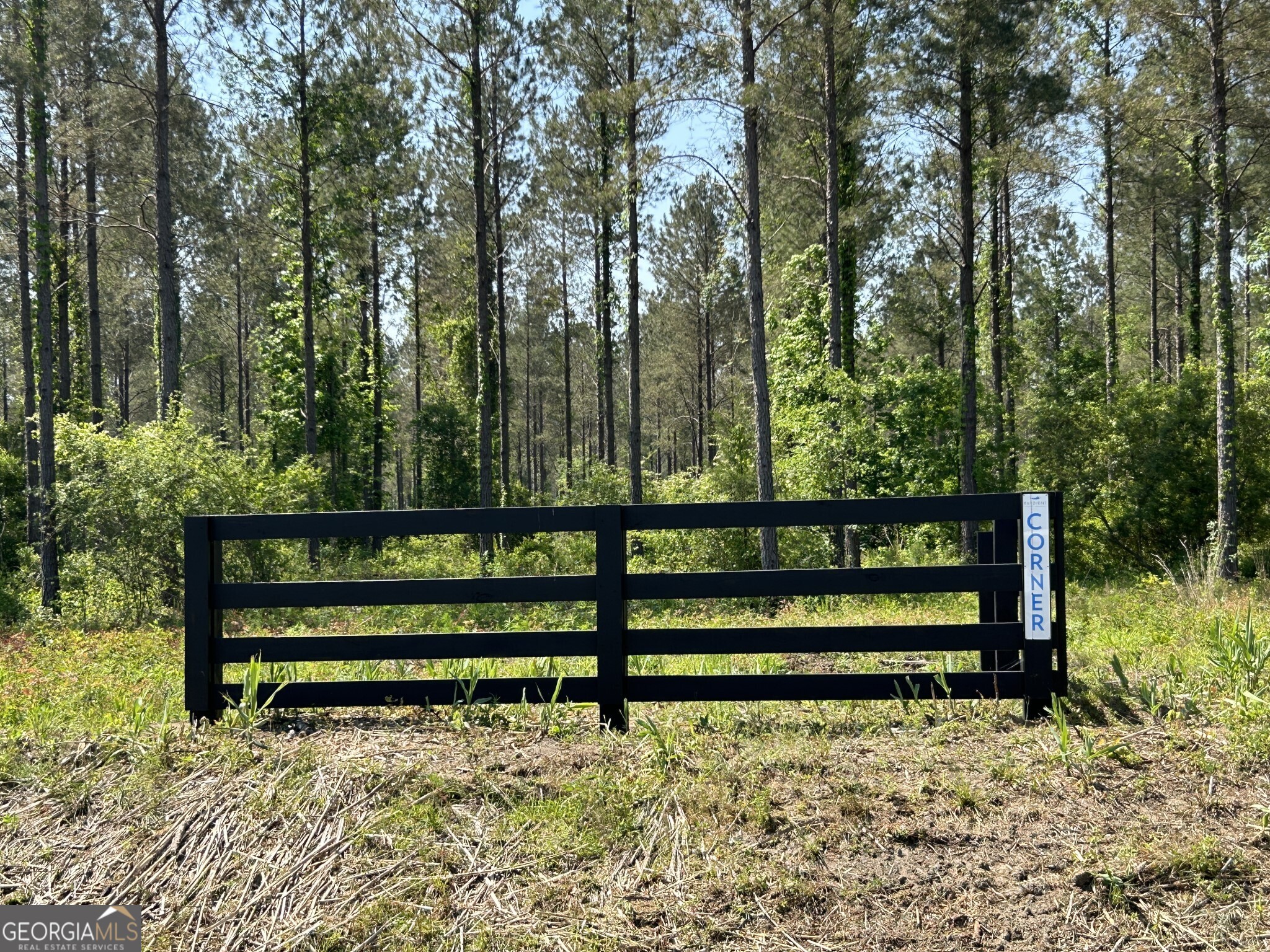 0 Springhaven Road Lot 19 Property Photo 15