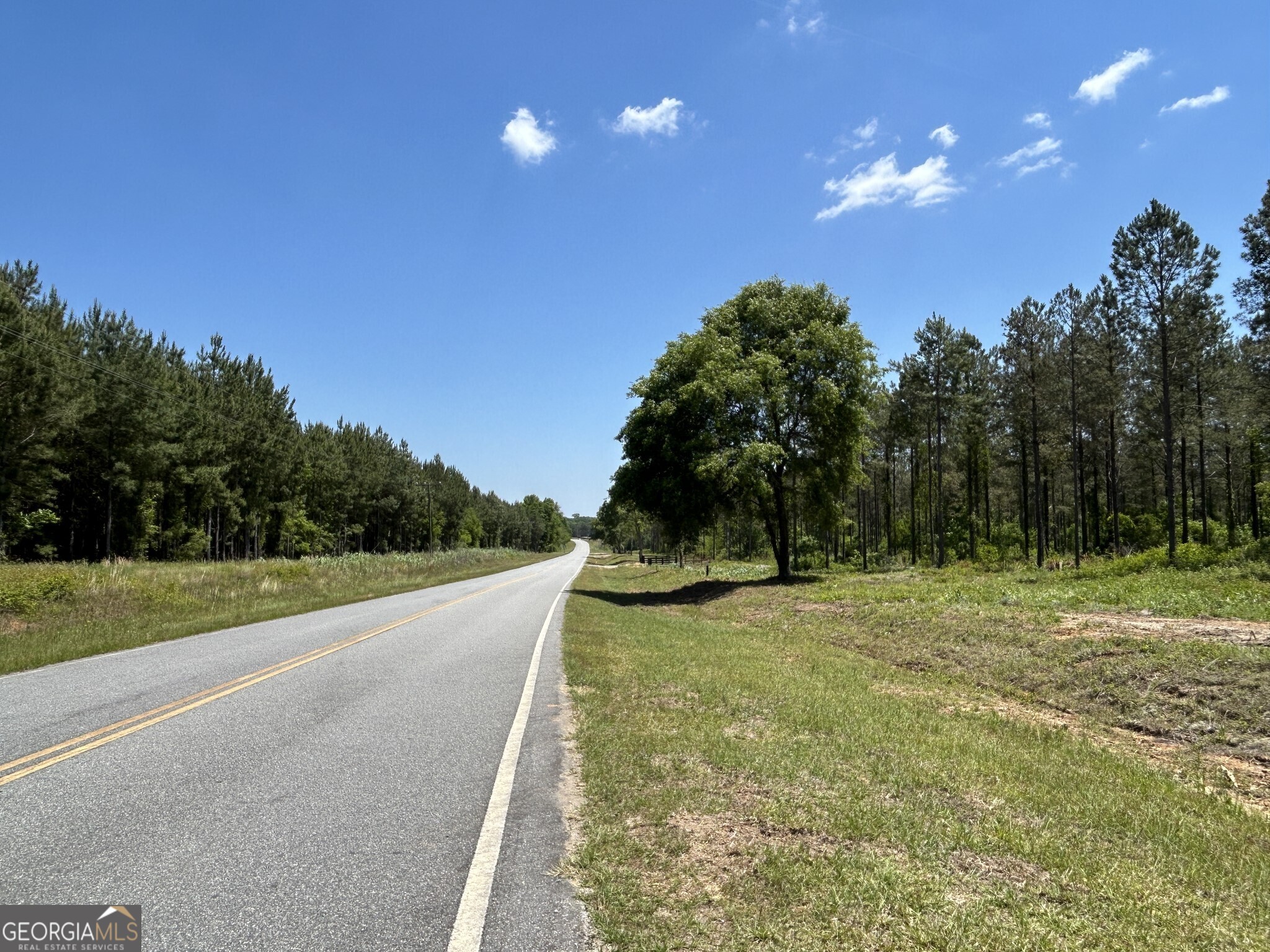0 Springhaven Road Lot 19 Property Photo 16