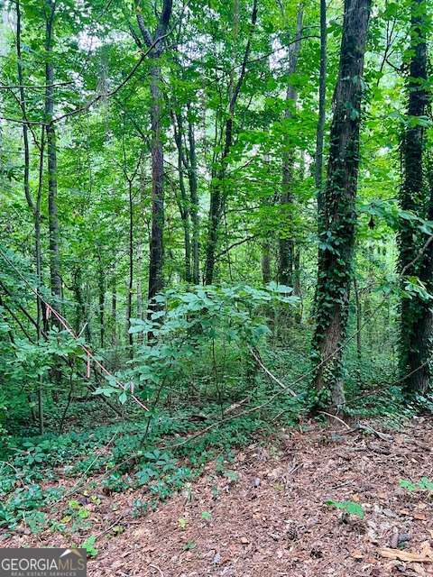 660 Hickory Trail Se Property Photo 6