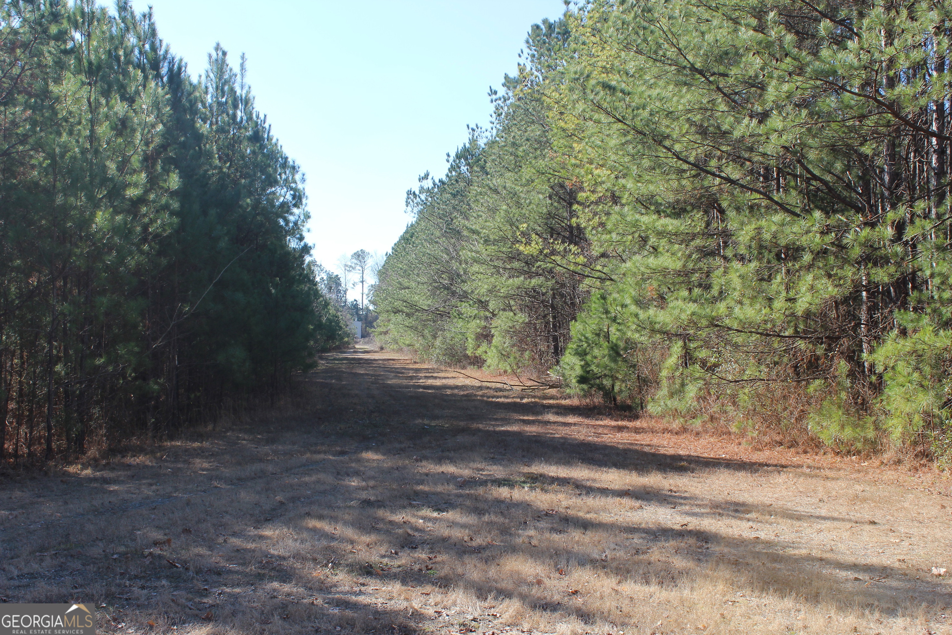 0 Hix Road Property Photo 3