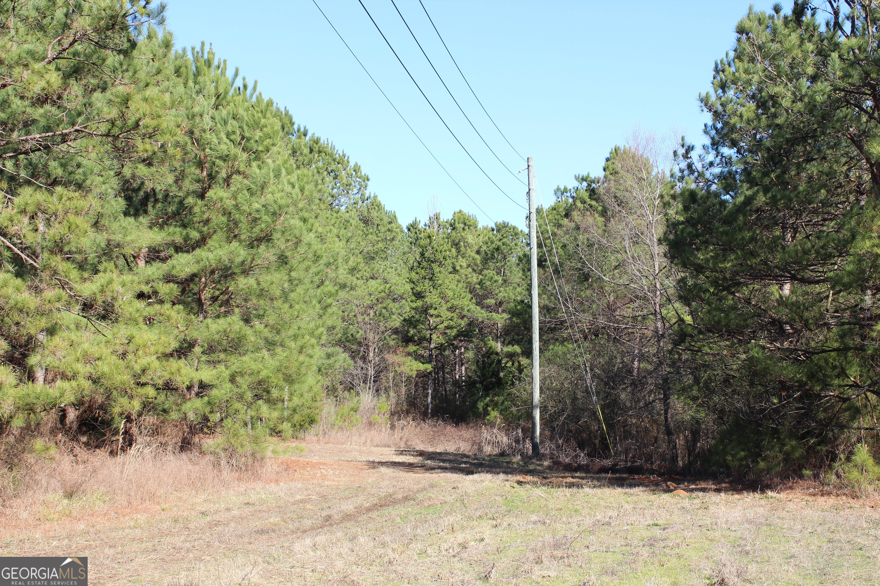 0 Hix Road Property Photo 6