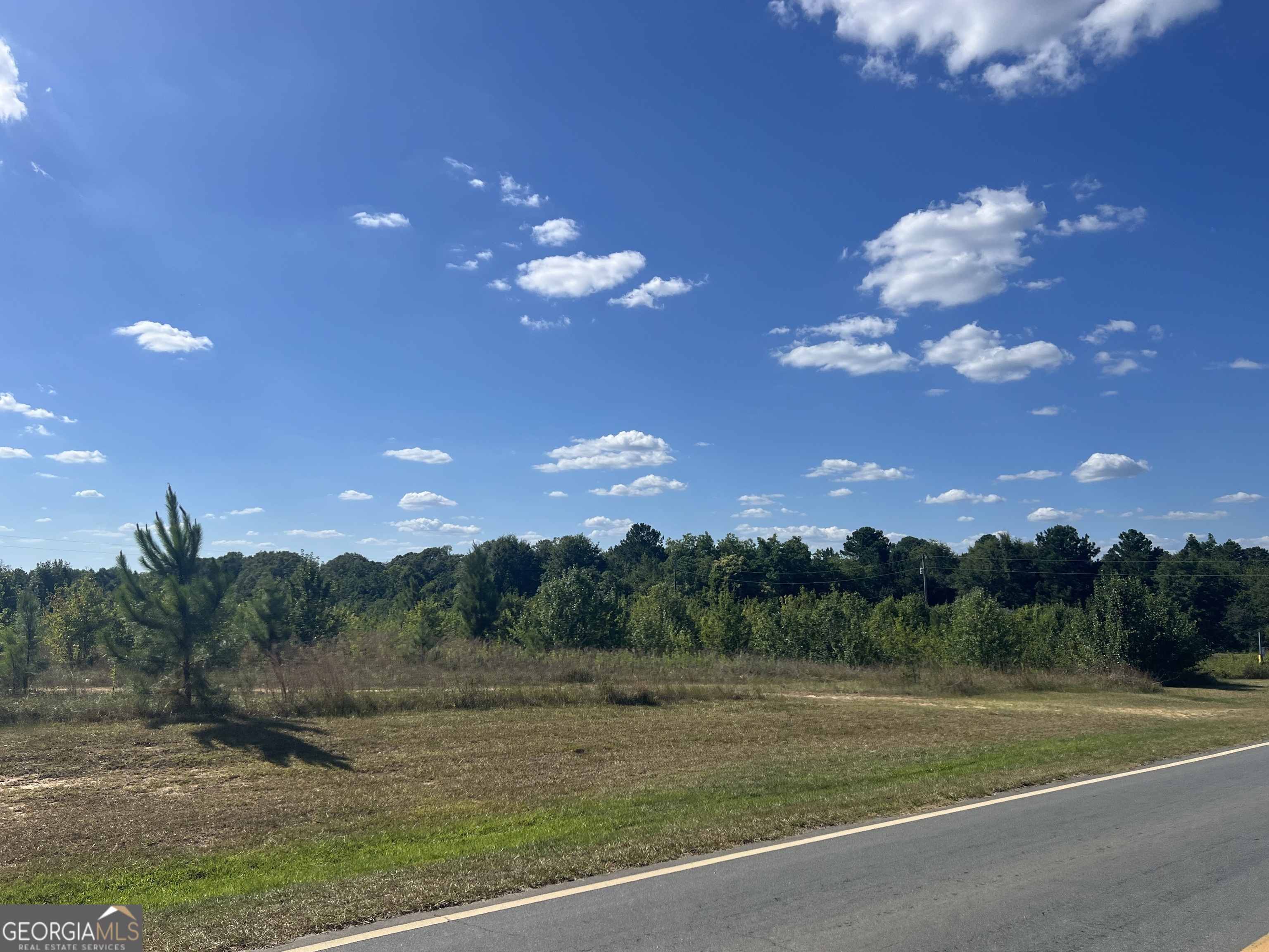 0 Highway 117 Property Photo 1