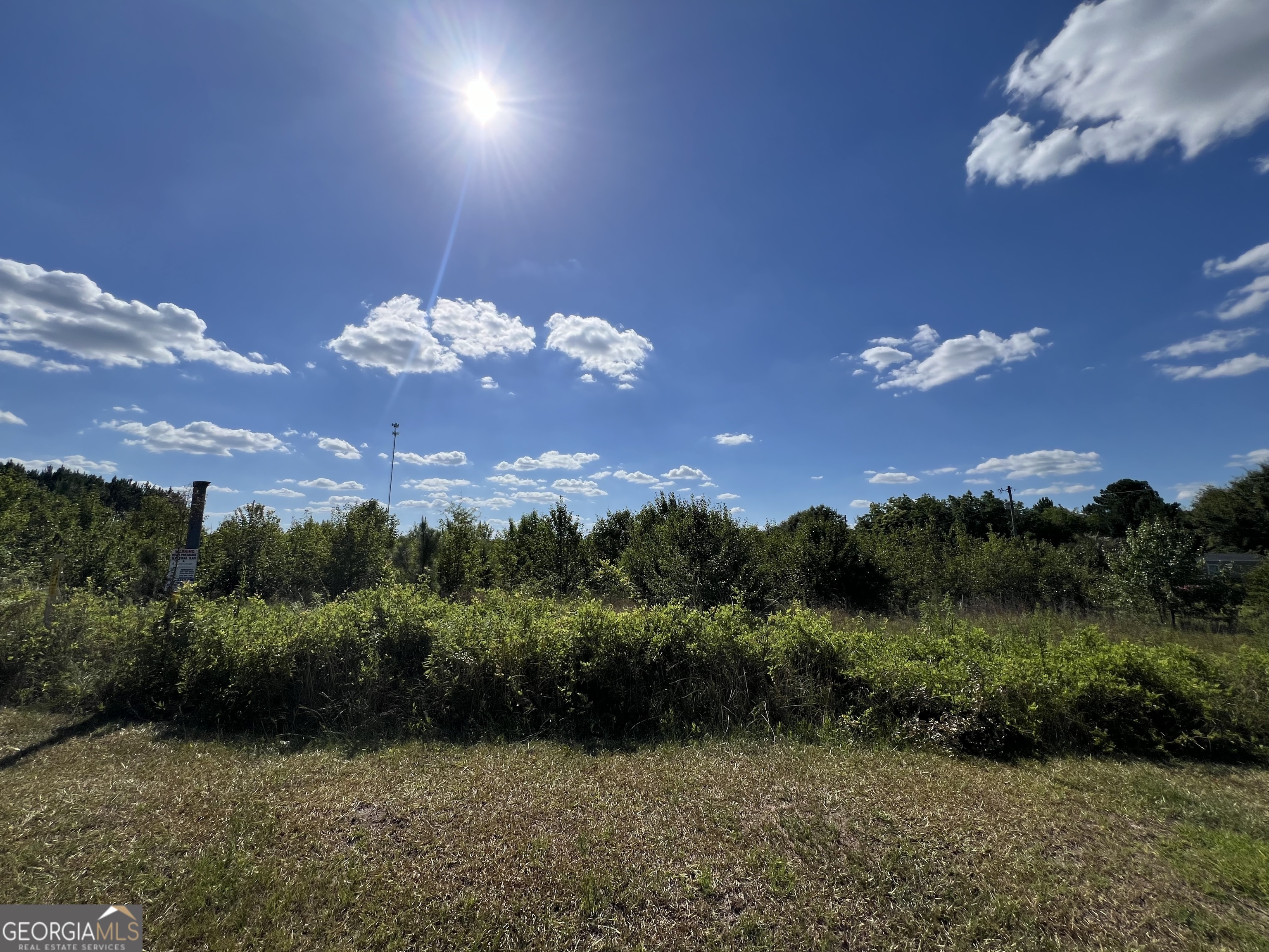 0 Highway 117 Property Photo 4