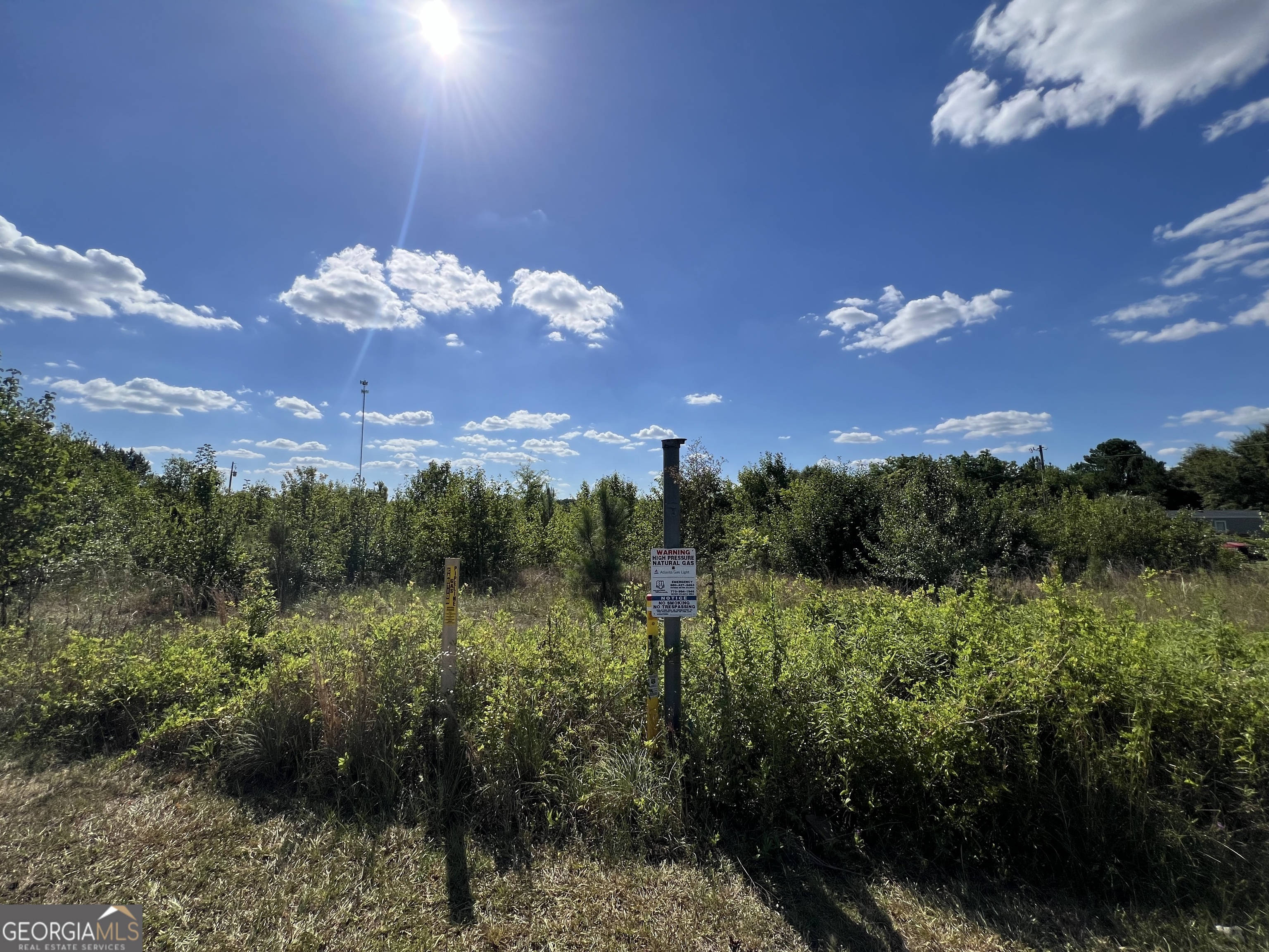 0 Highway 117 Property Photo 5