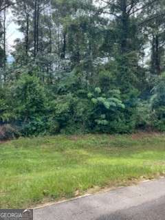 0 N Spring Creek Circle Property Photo 4