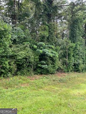 0 N Spring Creek Circle Property Photo 5