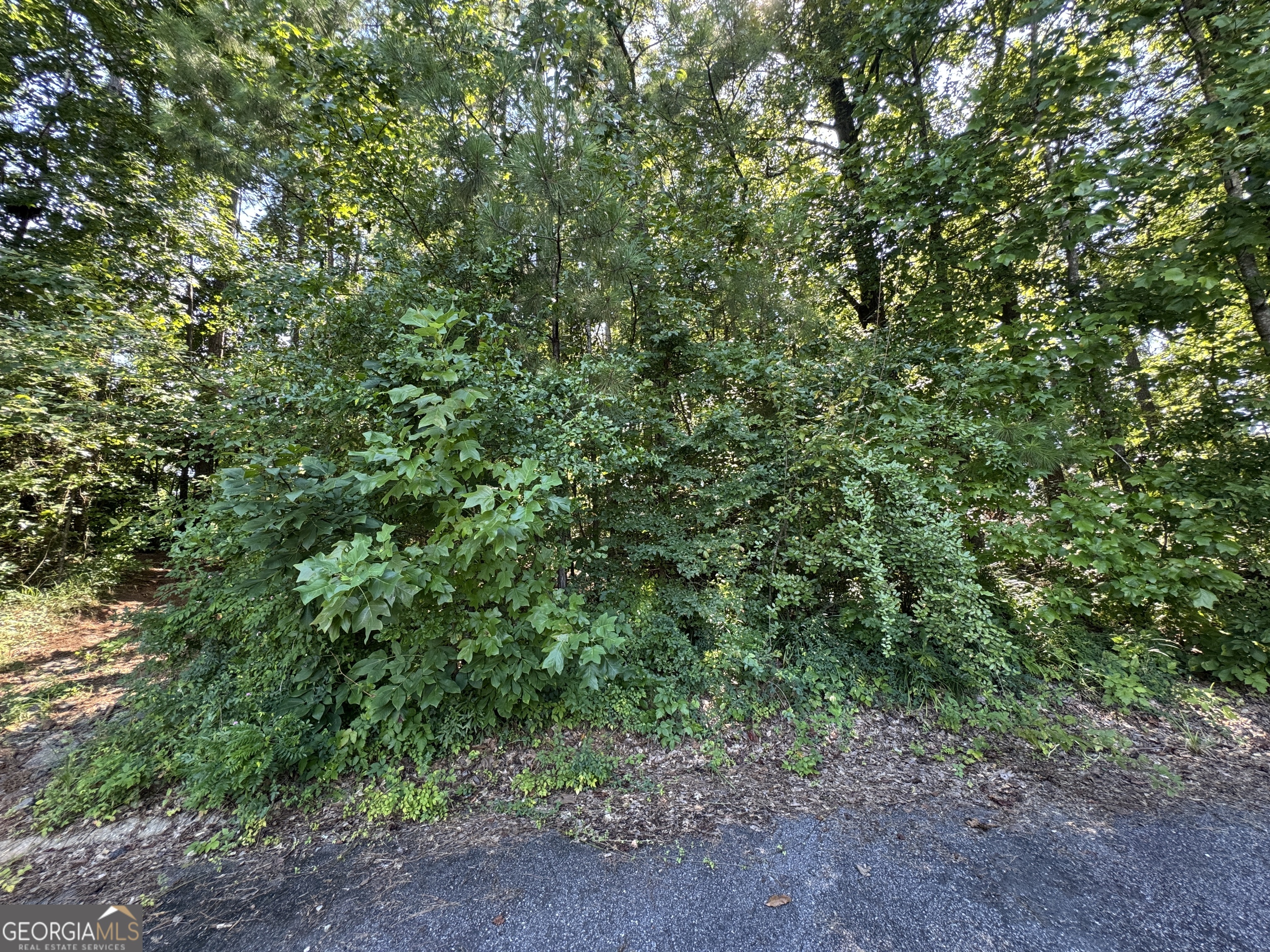 202 Cambridge Way Property Photo 1