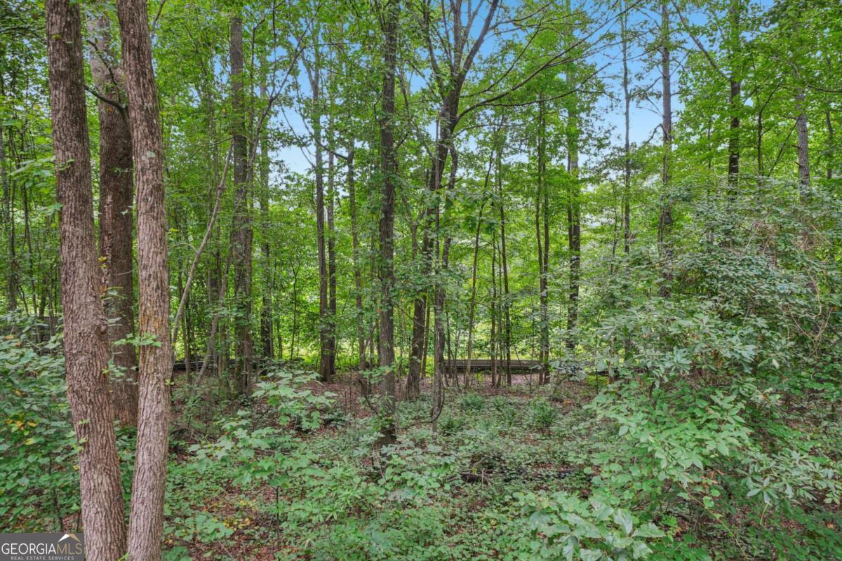 0 Bill Rutledge Road Property Photo 12