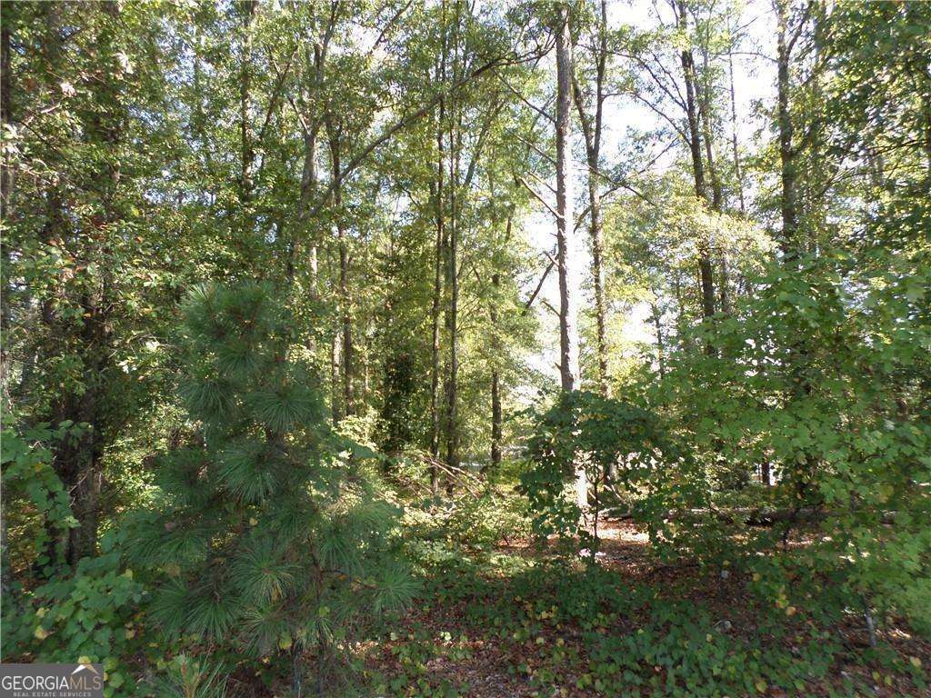 4595 Austell Powder Springs Road Property Photo 7