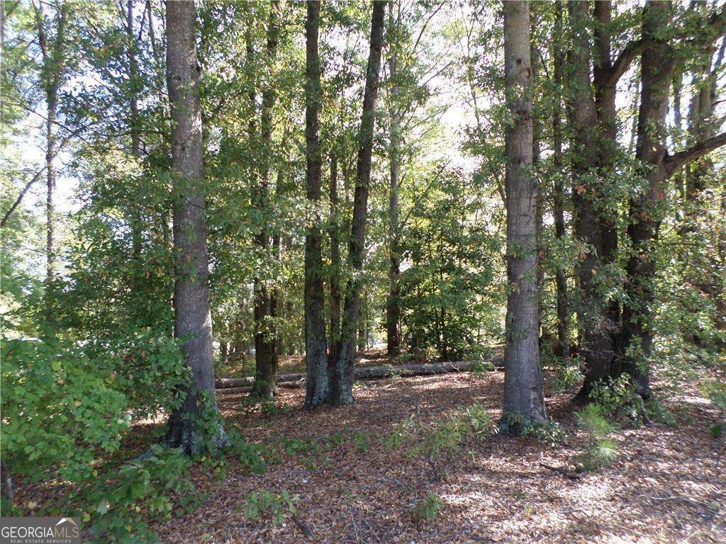 4595 Austell Powder Springs Road Property Photo 8