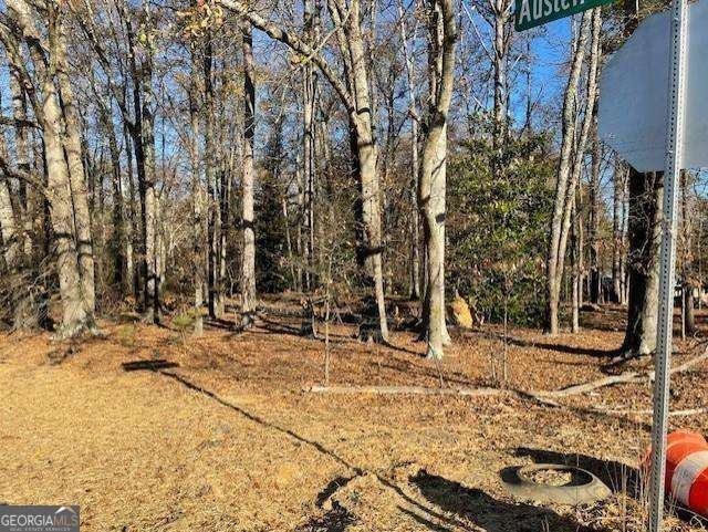4595 Austell Powder Springs Road Property Photo 11