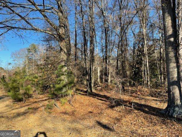 4595 Austell Powder Springs Road Property Photo 13