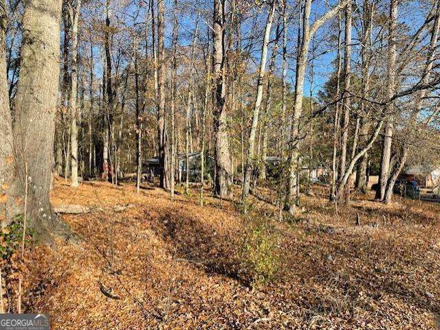 4595 Austell Powder Springs Road Property Photo 14