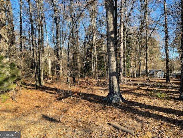 4595 Austell Powder Springs Road Property Photo 15