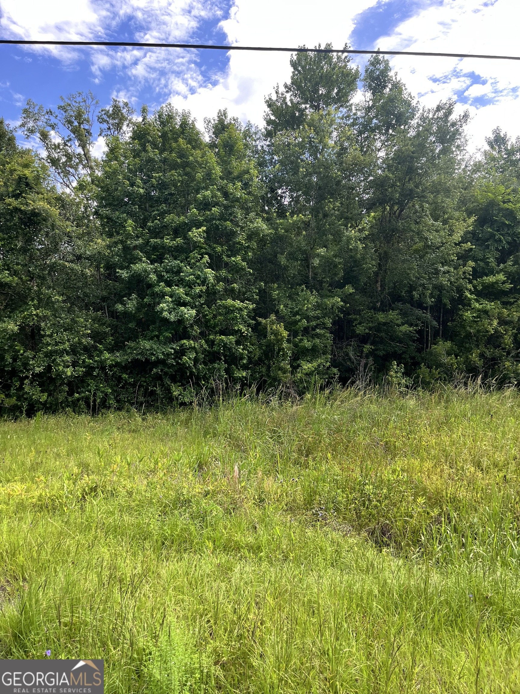 0 Oglethorpe East Highway Property Photo 5