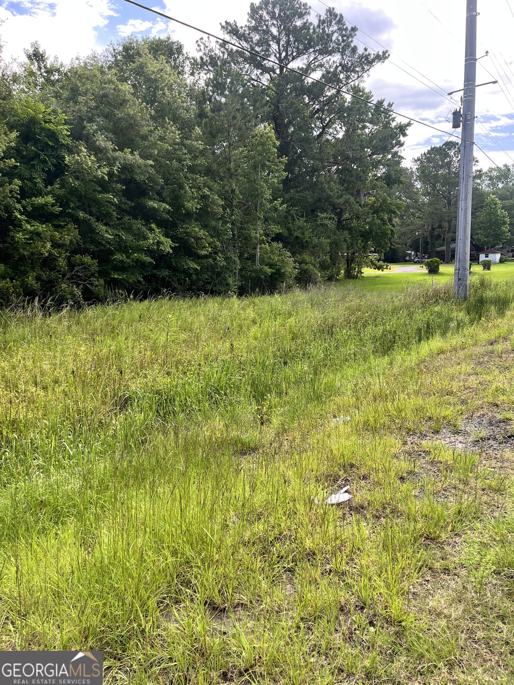 0 Oglethorpe East Highway Property Photo 6