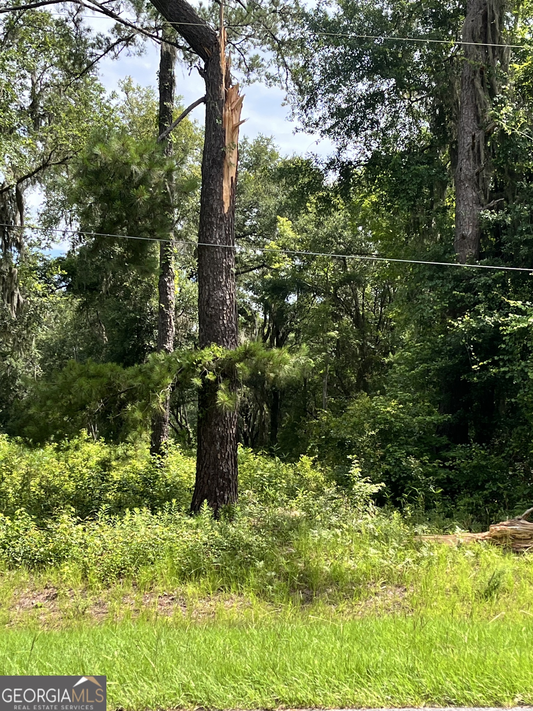 0 Sandy Run Road Property Photo 3