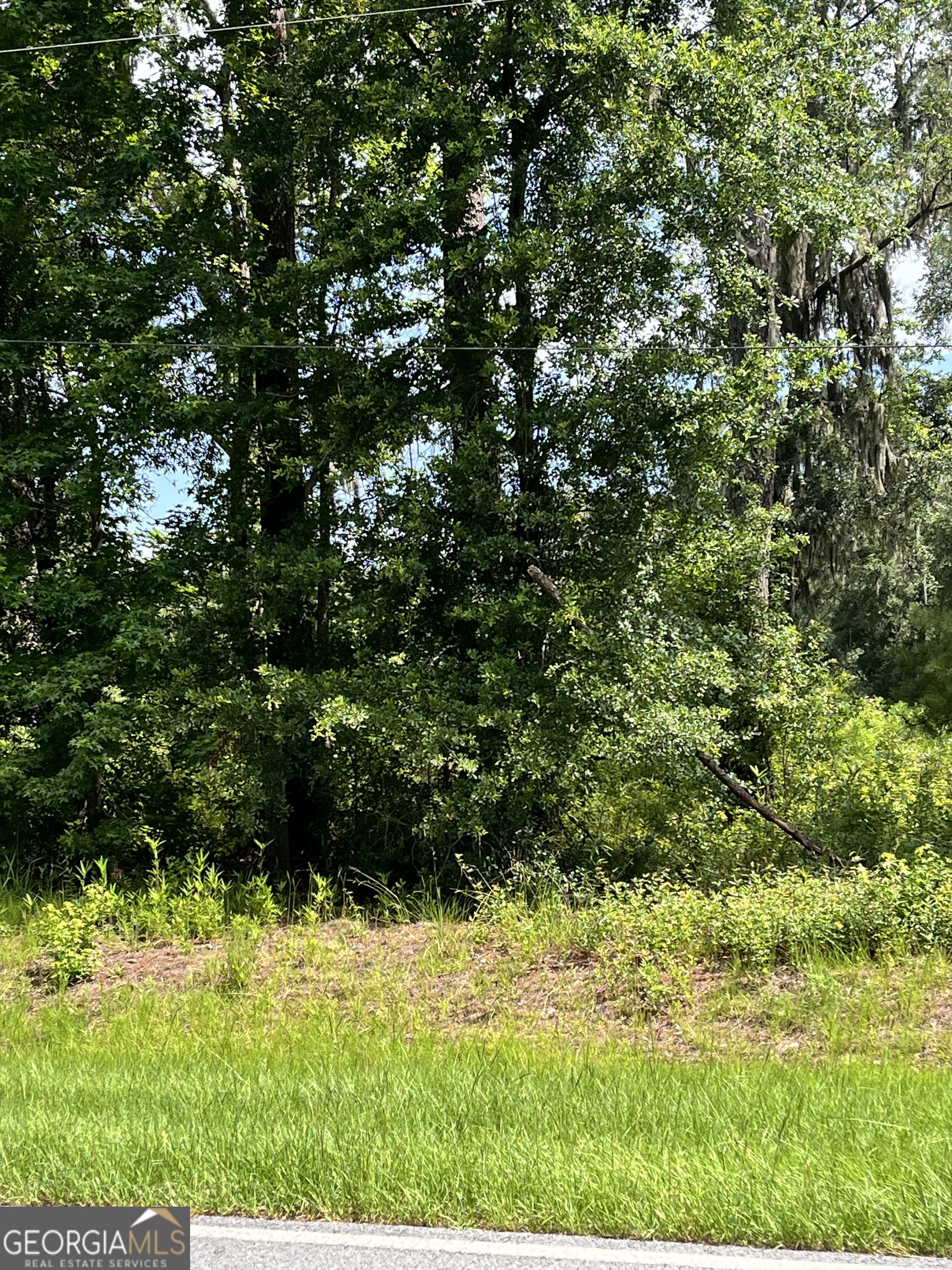 0 Sandy Run Road Property Photo 5