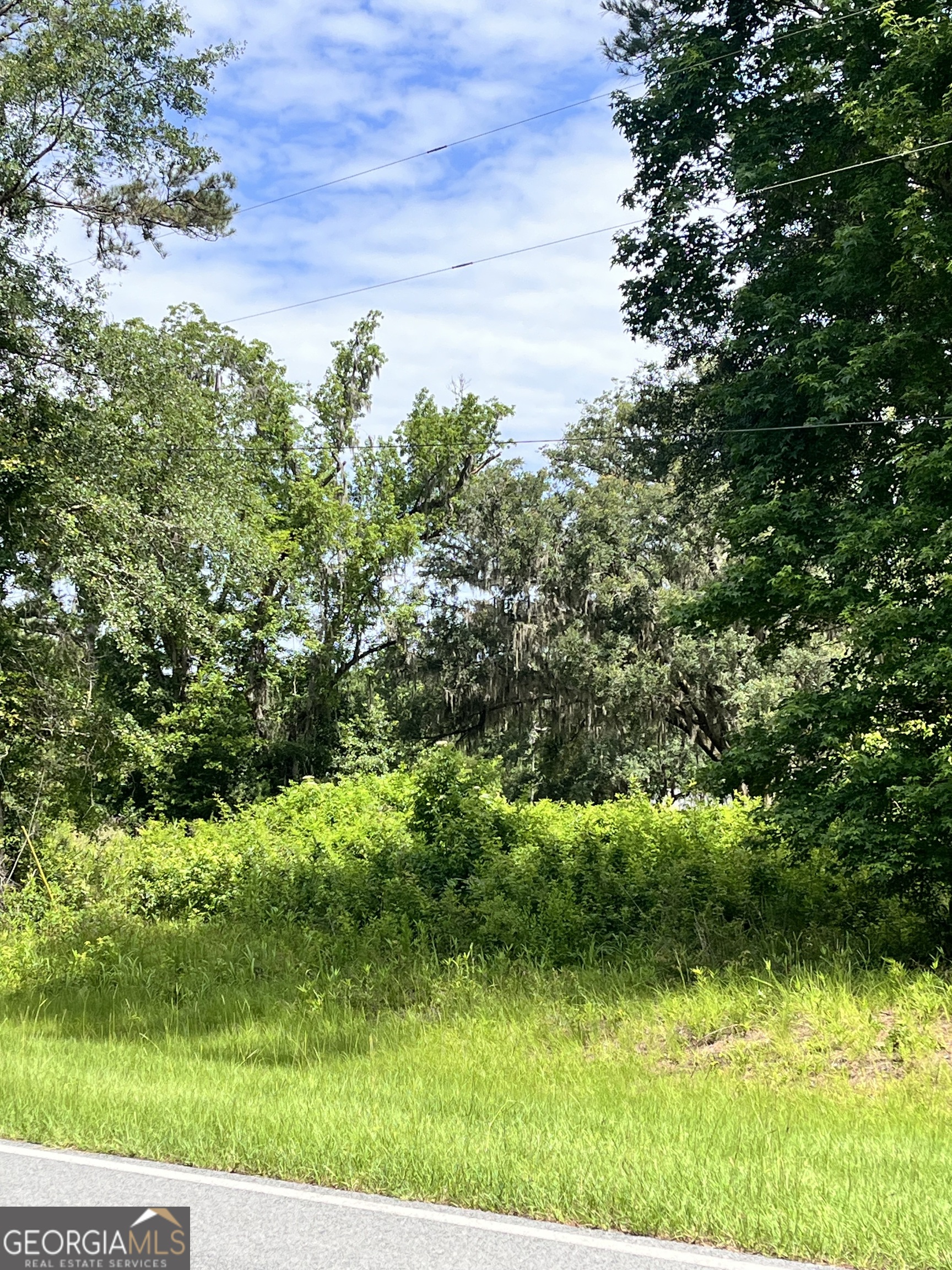 0 Sandy Run Road Property Photo 6