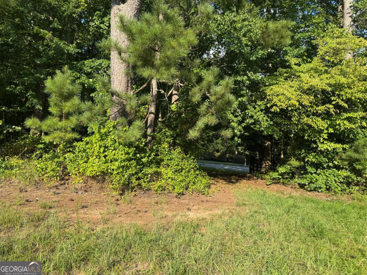121 Aaronwood Court Property Photo 2