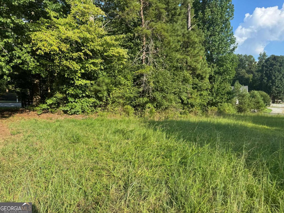 121 Aaronwood Court Property Photo 3